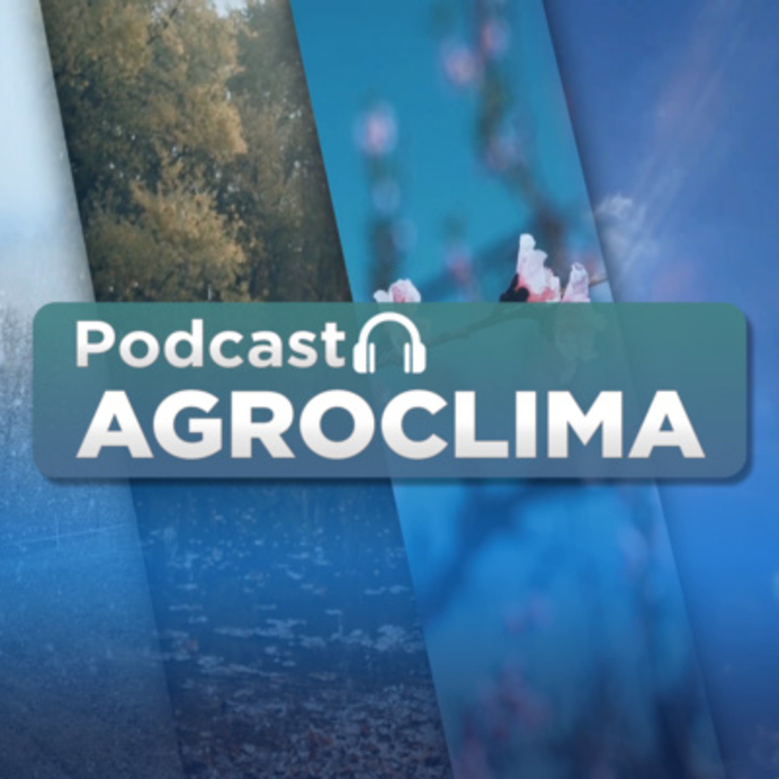 #1072 Agroclima: Semana começa com retorno de chuva forte e altas temperaturas no centro-sul do Brasil episode artwork