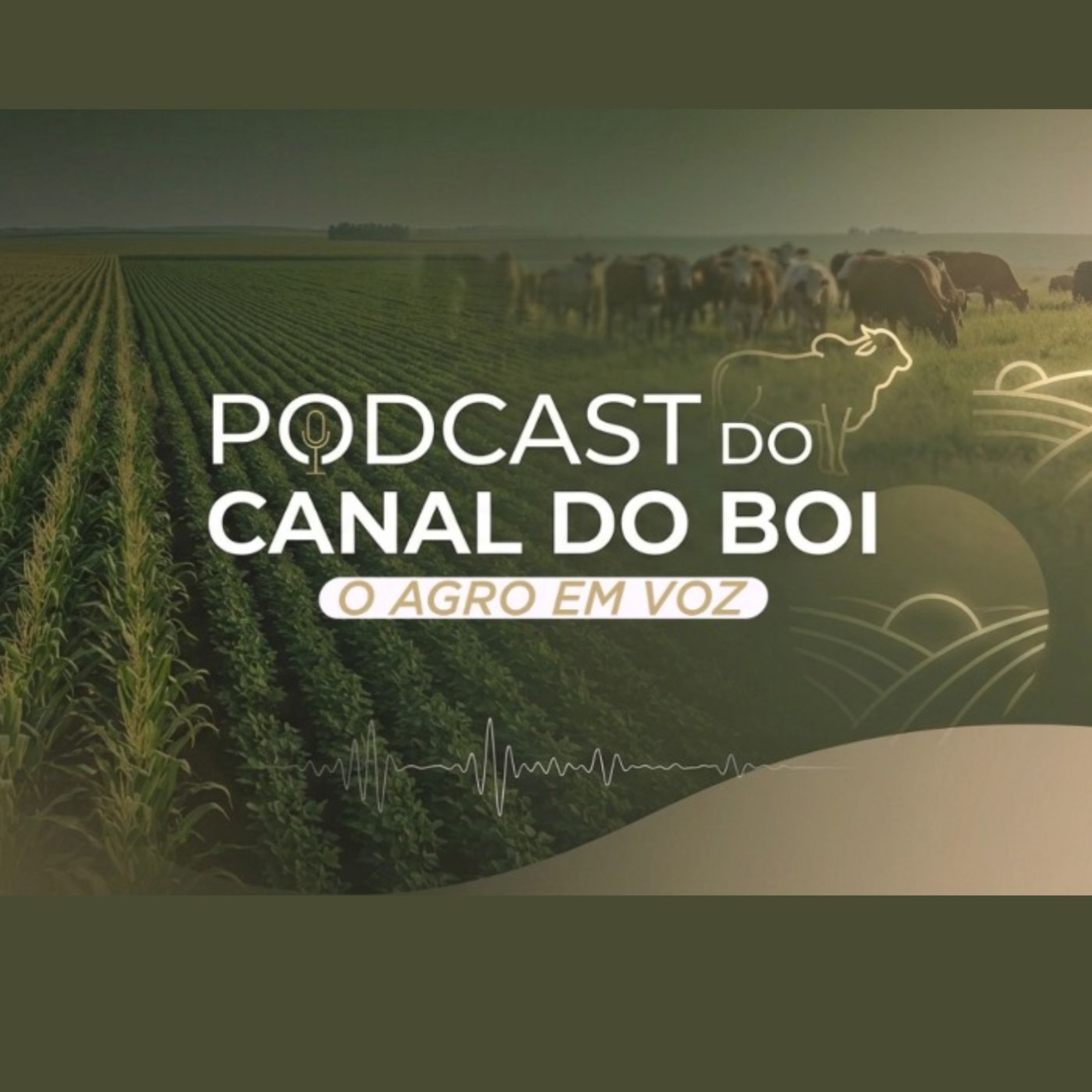#10 Podcast Agro em Voz | Frederico Menezes | Nelore VRJO episode artwork