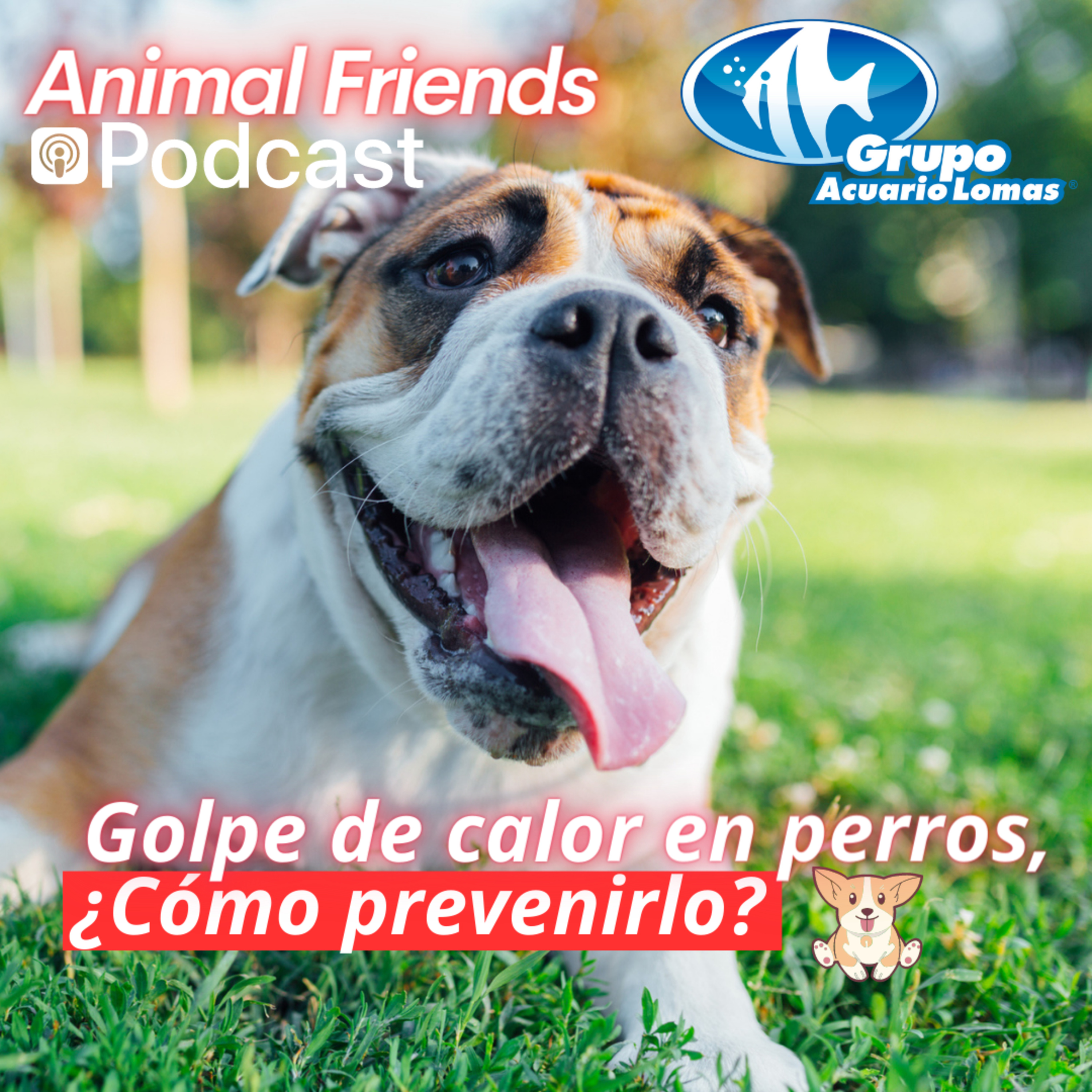 Animal Friends