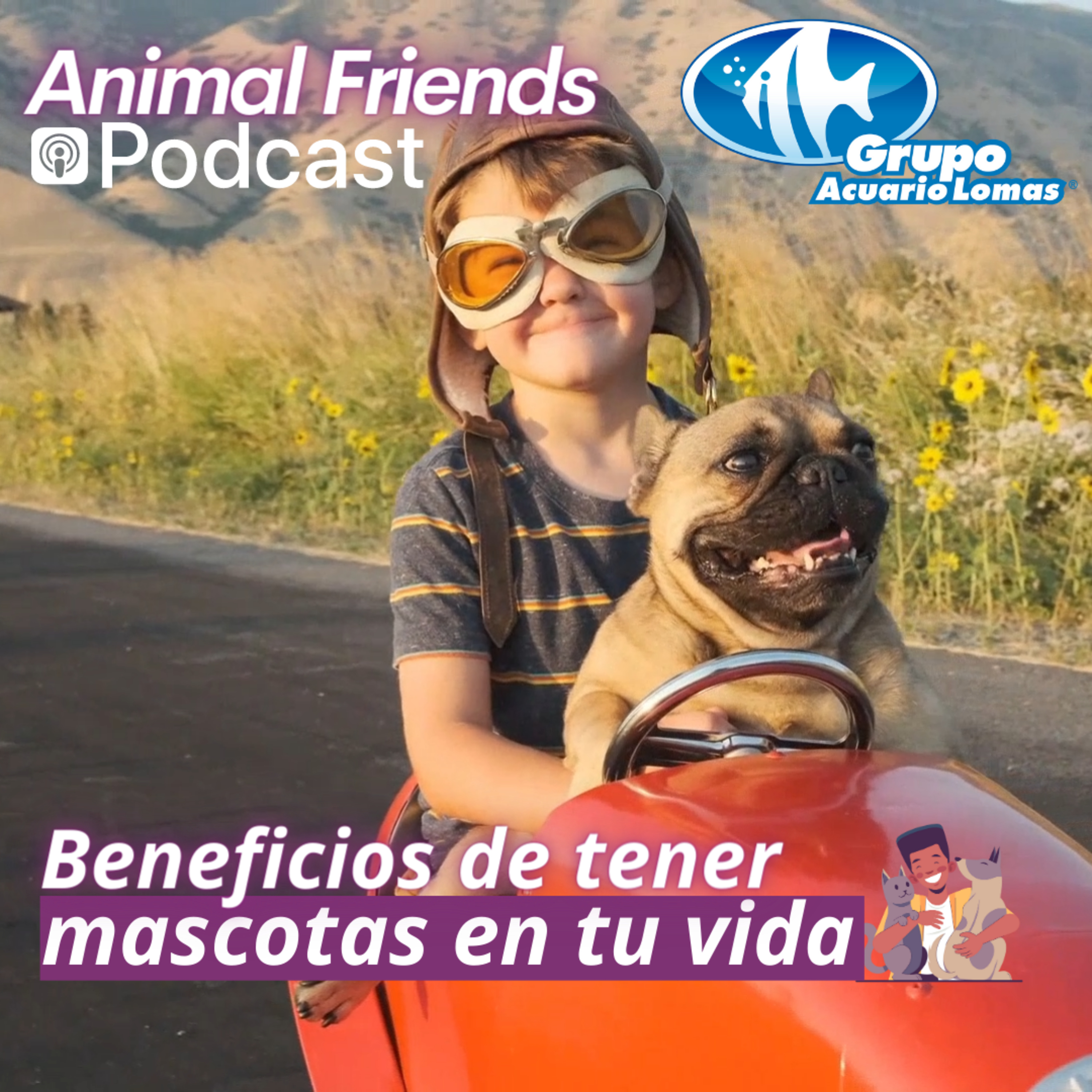 Animal Friends