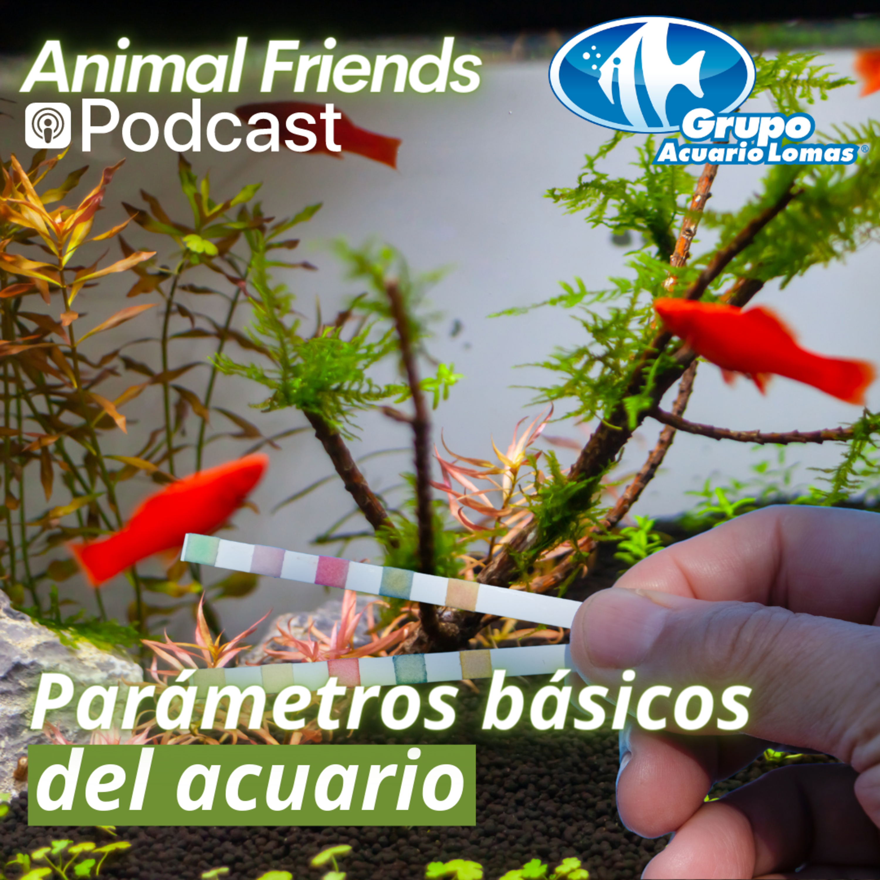 Animal Friends