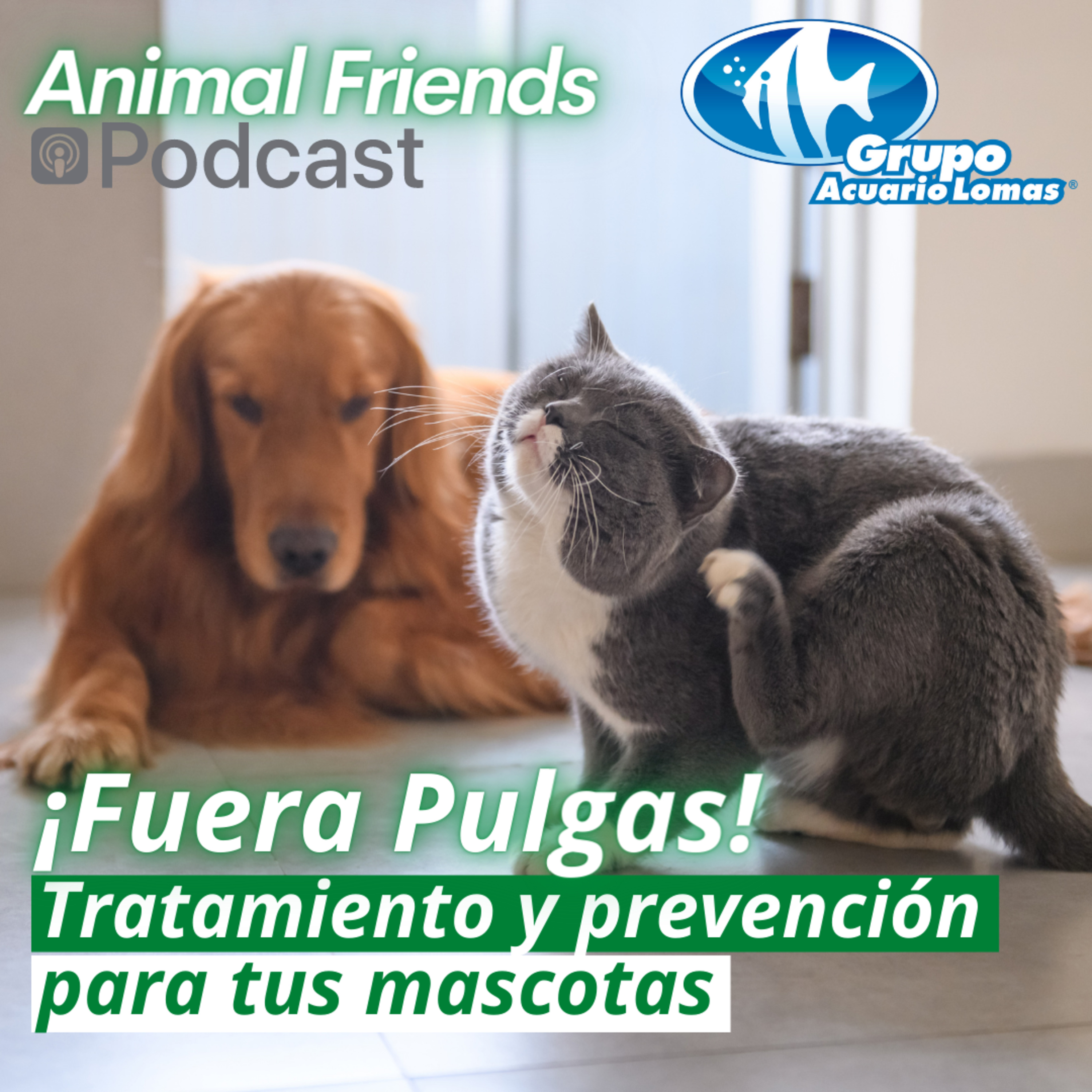 Animal Friends