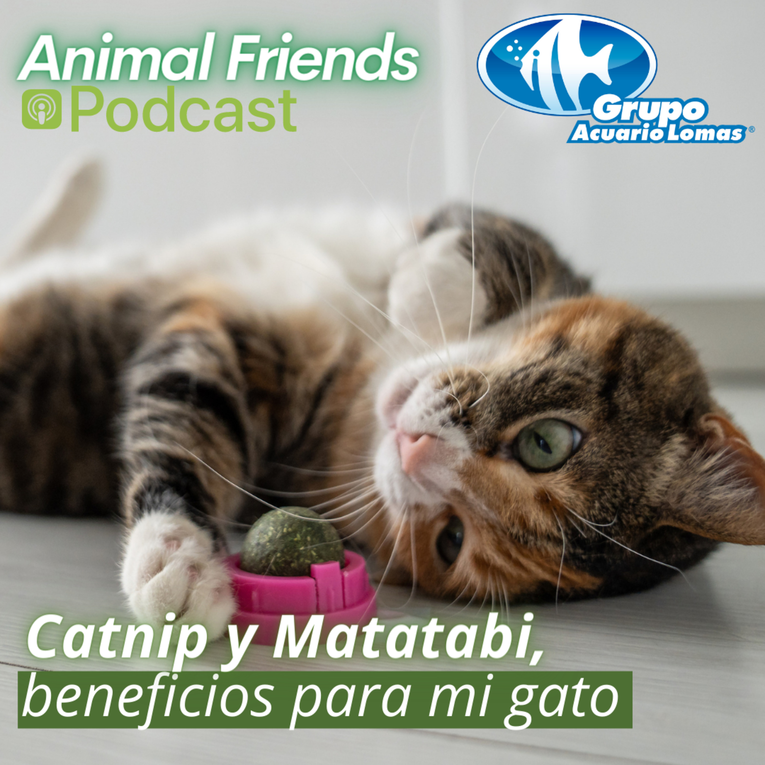 Animal Friends