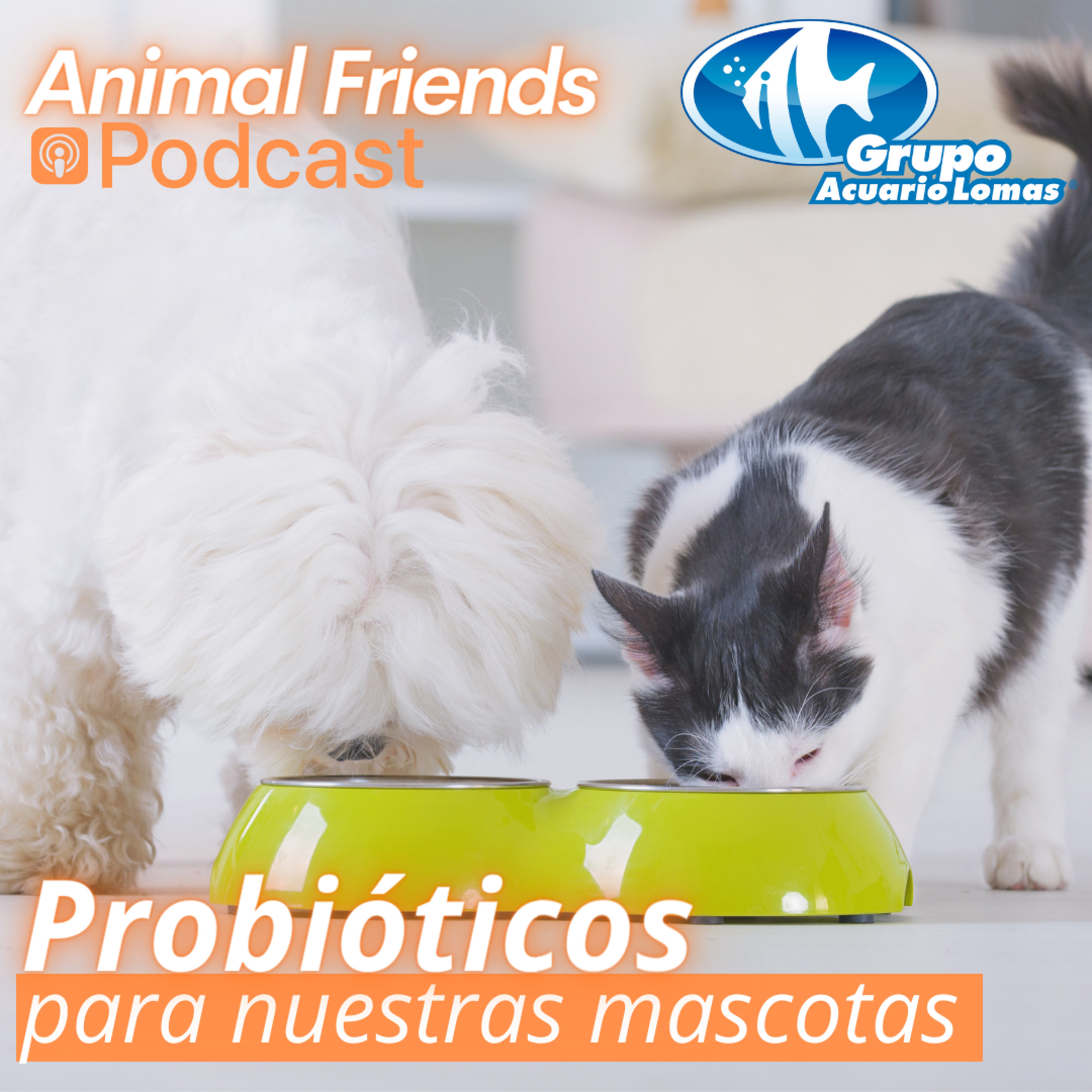 Animal Friends