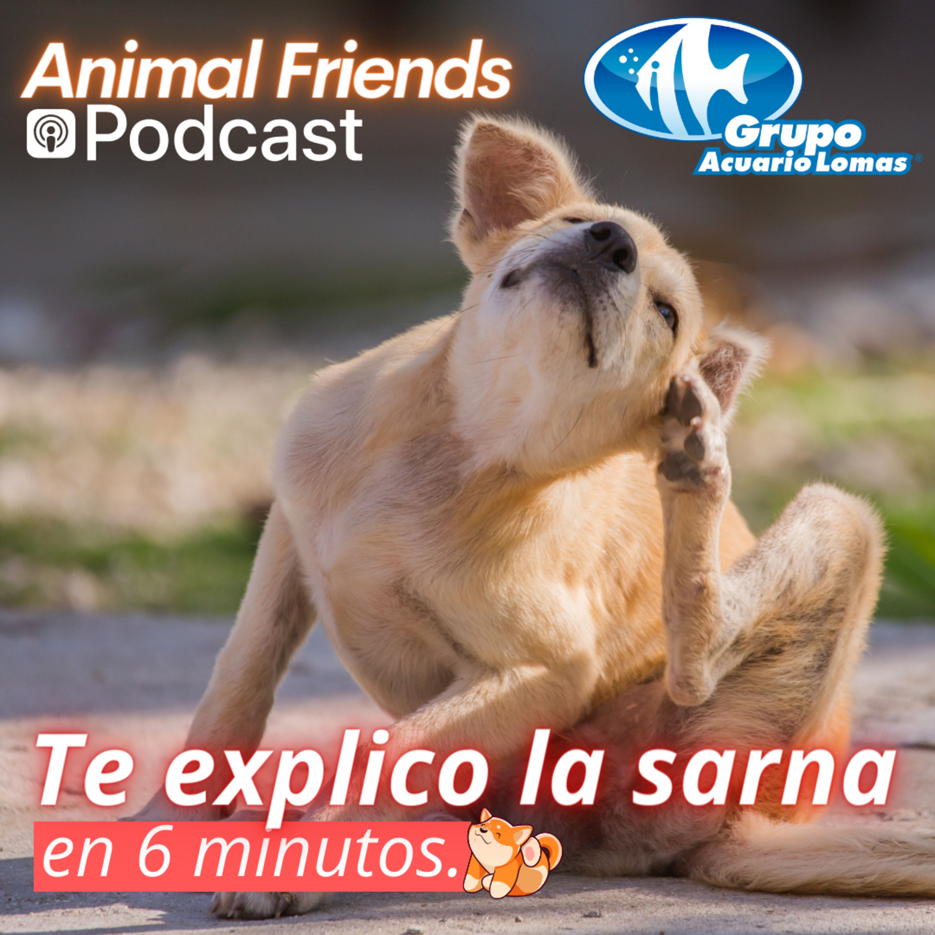 Animal Friends