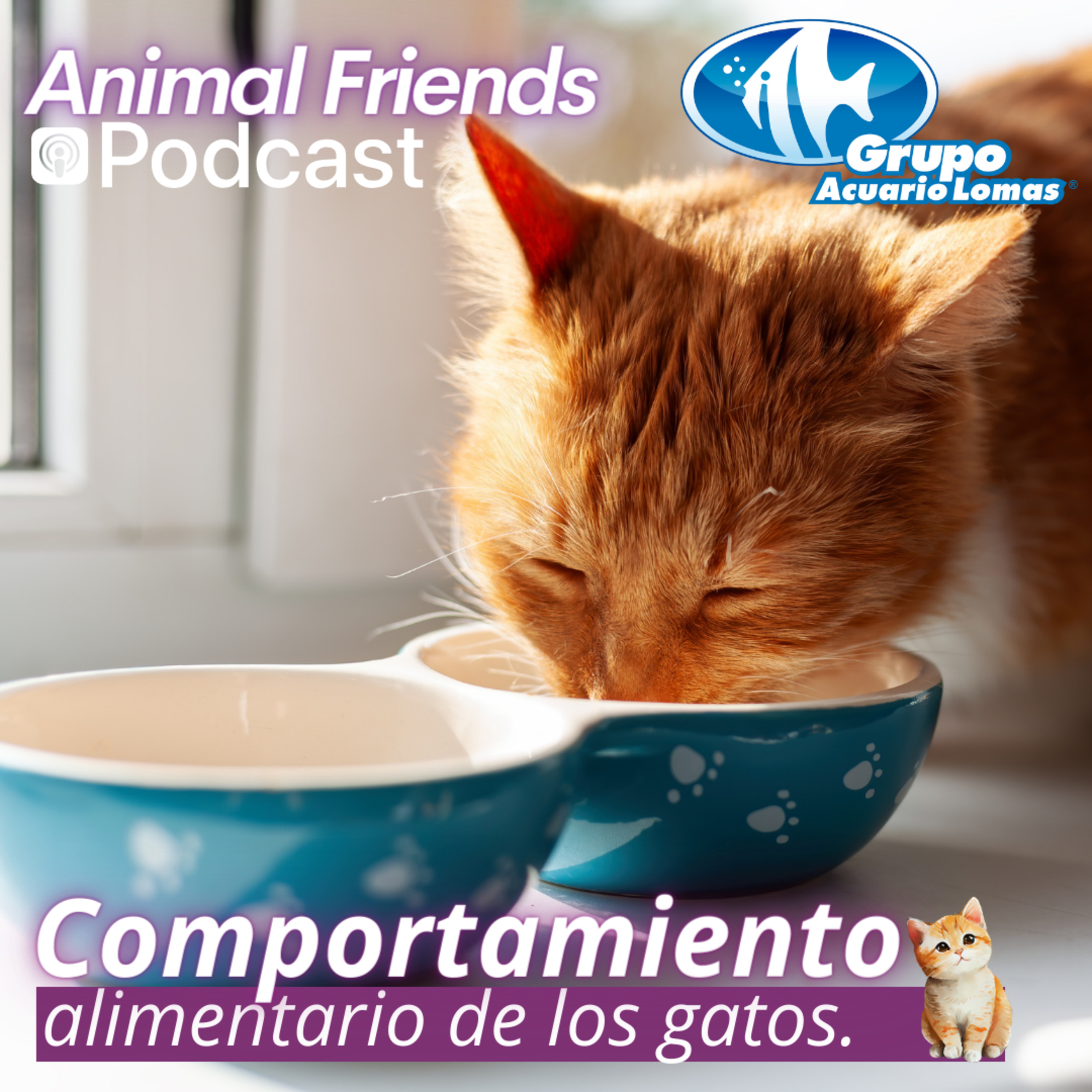 Animal Friends