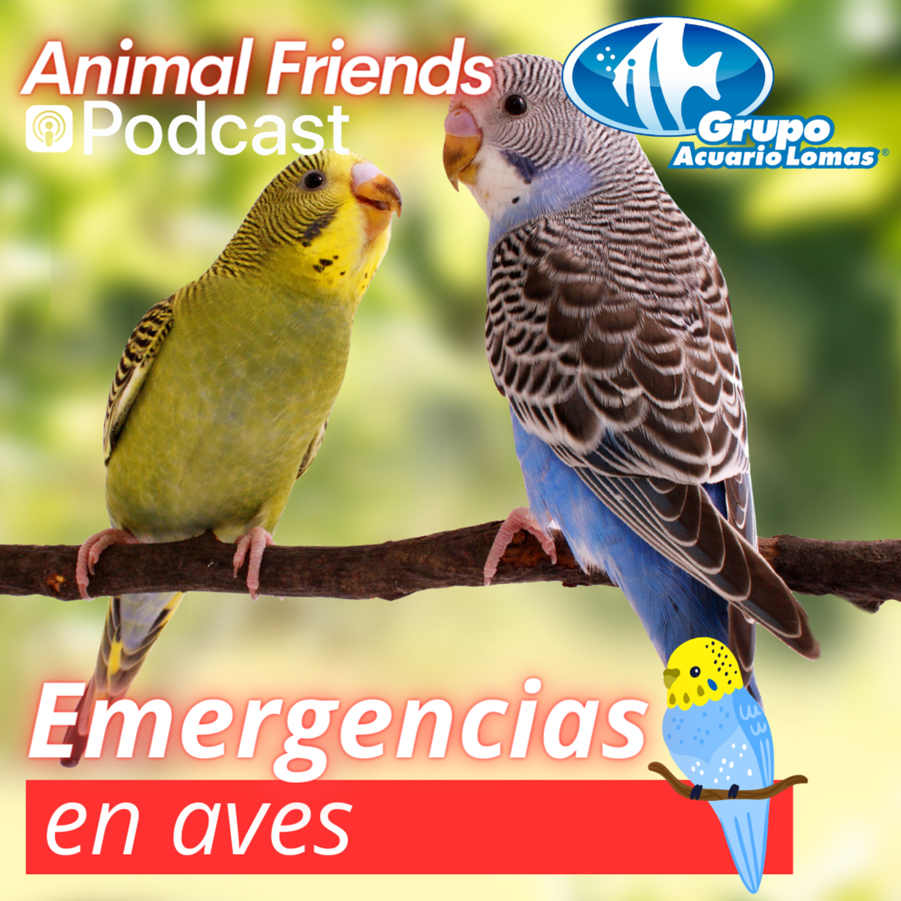 Animal Friends