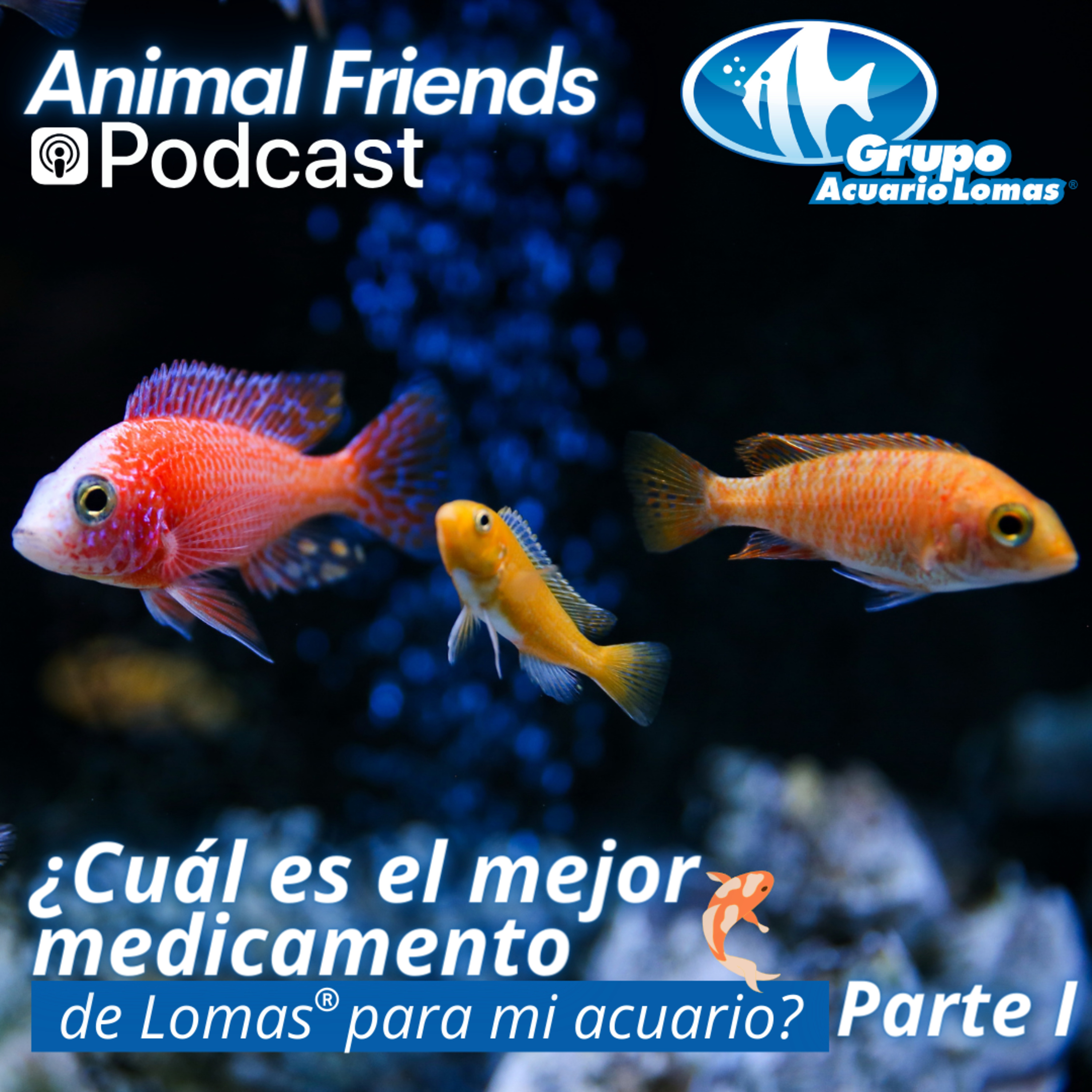 Animal Friends