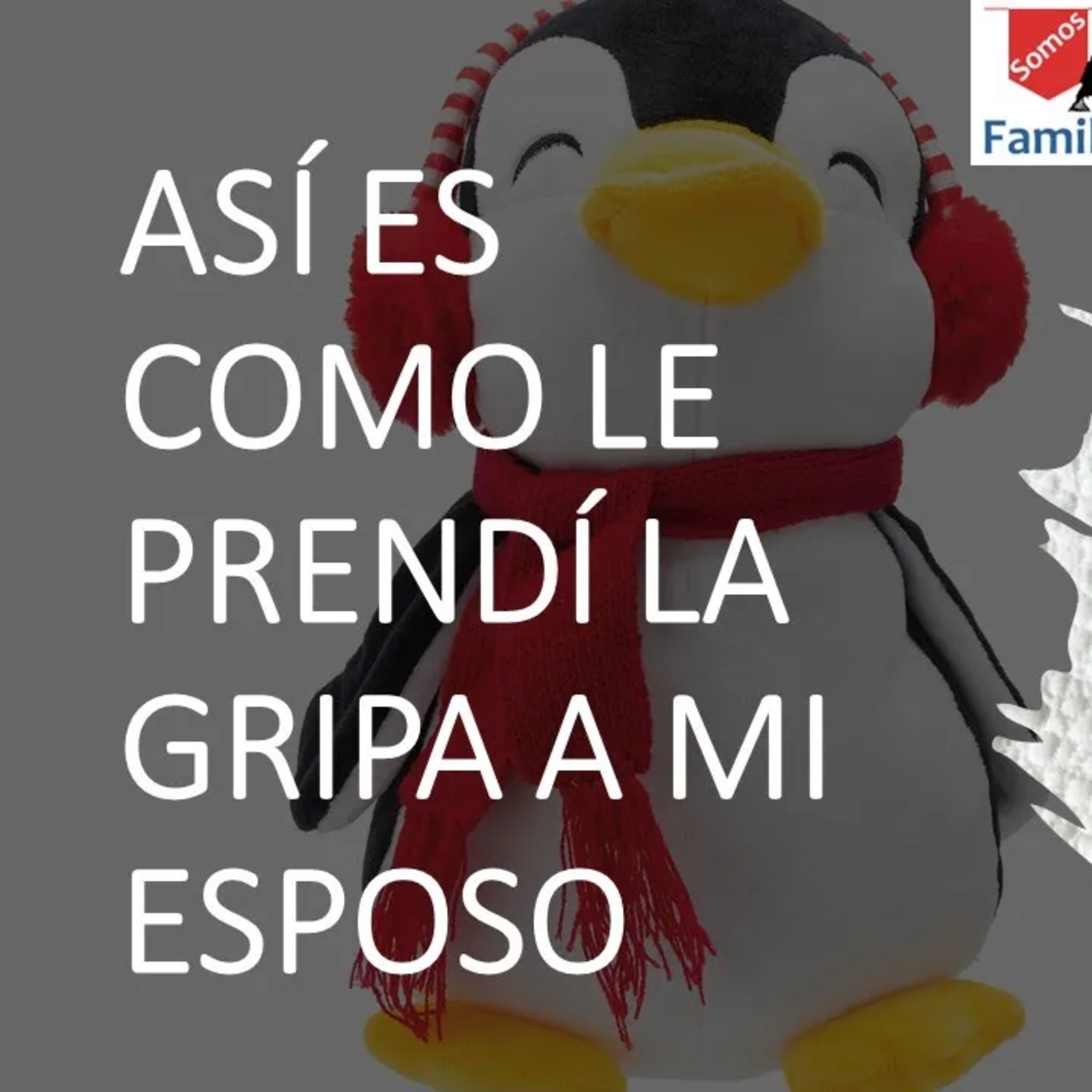 La VERDADERA historia de cómo LE PRENDÍ la gripa a mi esposo episode artwork