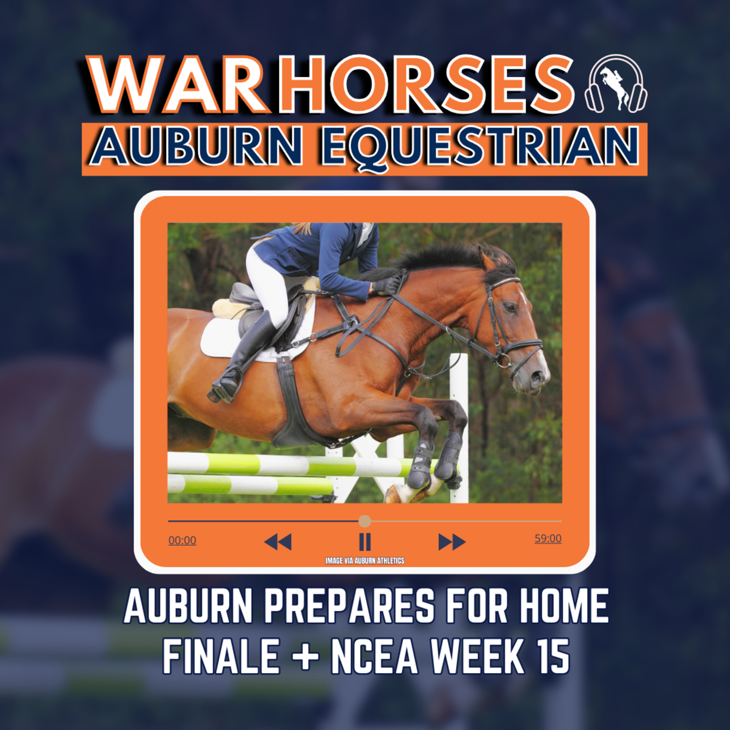 NCEA Week 15 + Tigers Prepare for Home Finale | Auburn Equestrian Podcast  episode artwork