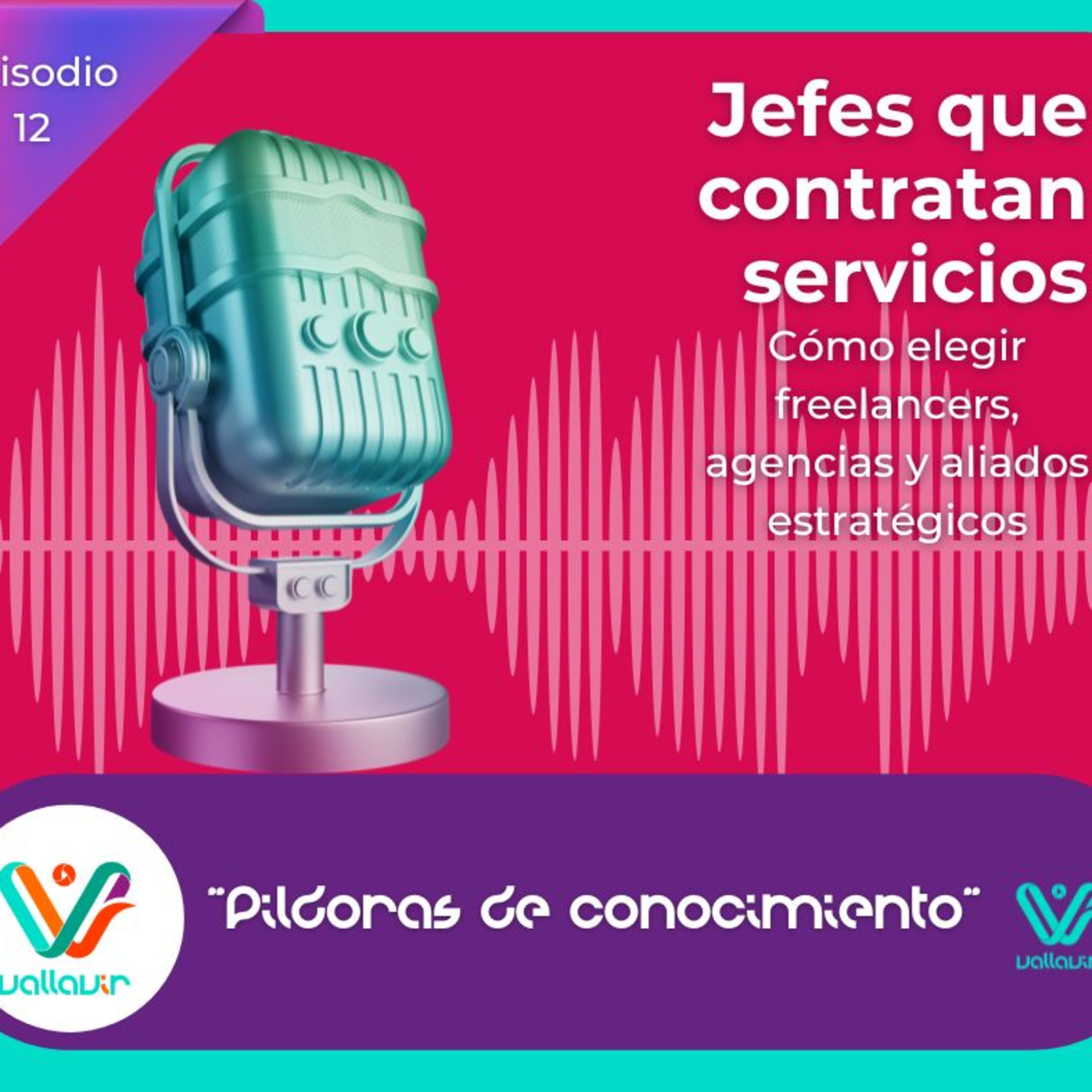 Portada de Píldoras de conocimiento con Vallavir
