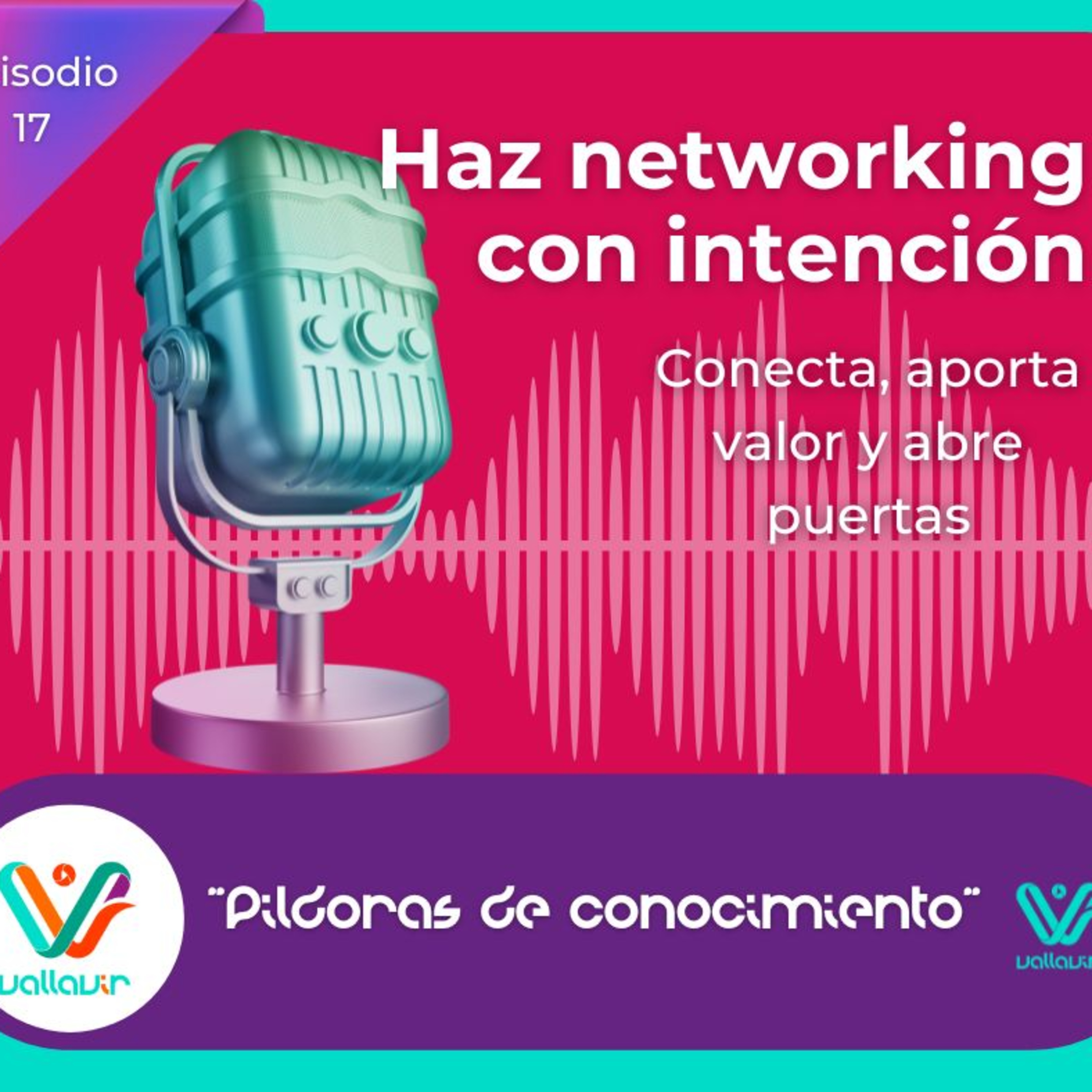 Portada de Píldoras de conocimiento con Vallavir