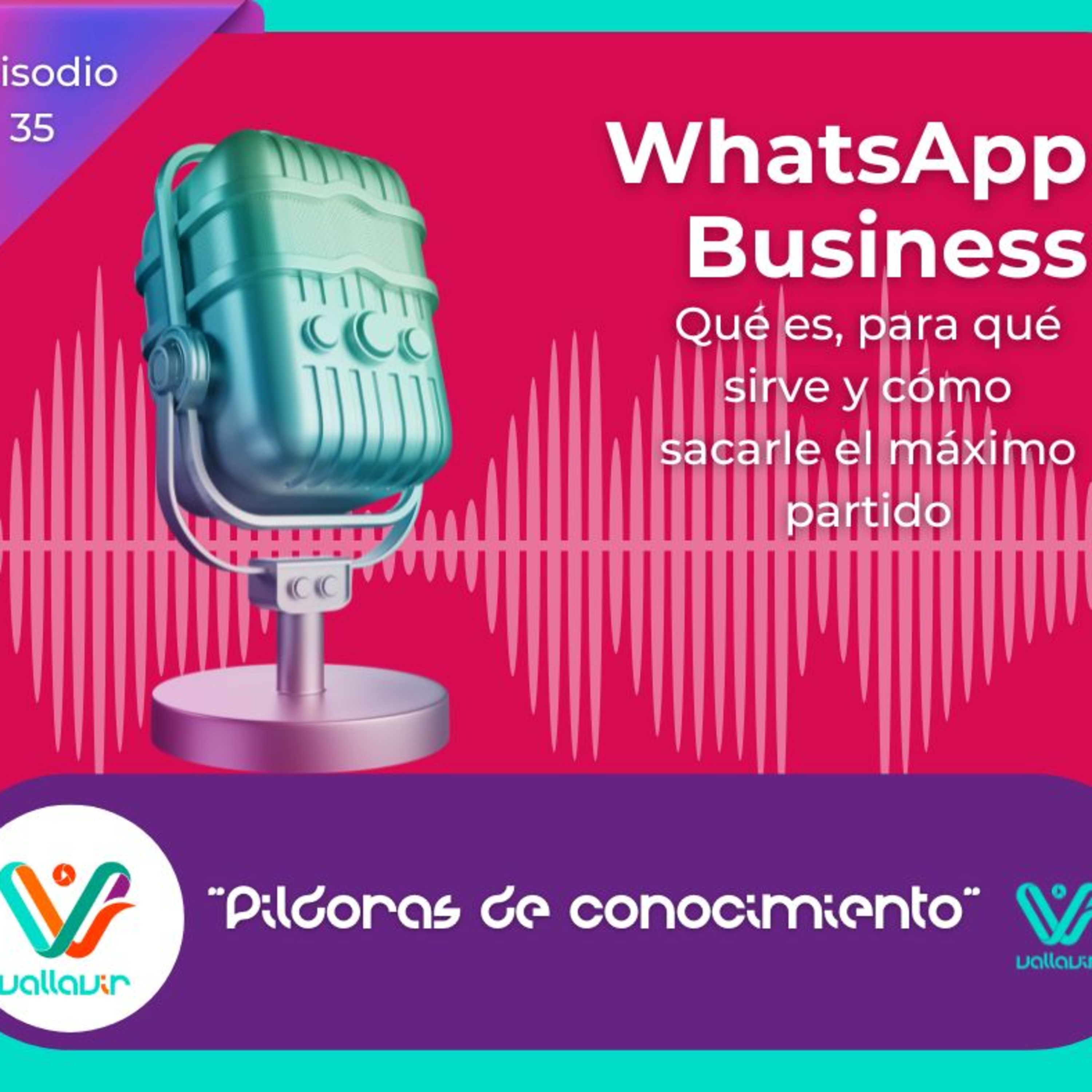 Portada de Píldoras de conocimiento con Vallavir