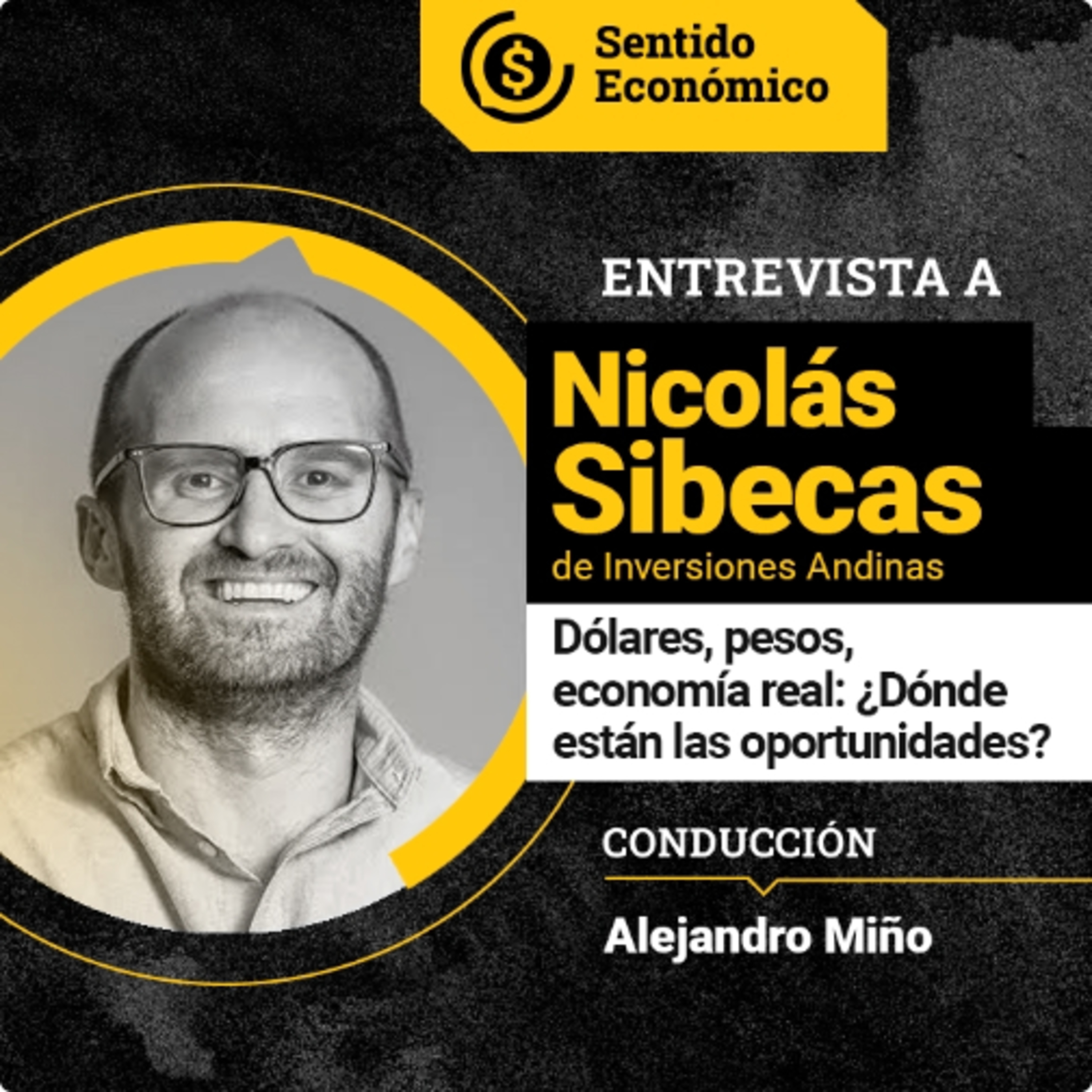 217 | Dólar, Lecaps, bonos CER y ON: dónde invertir | Nicolás Sibecas , Inversiones Andinas episode artwork