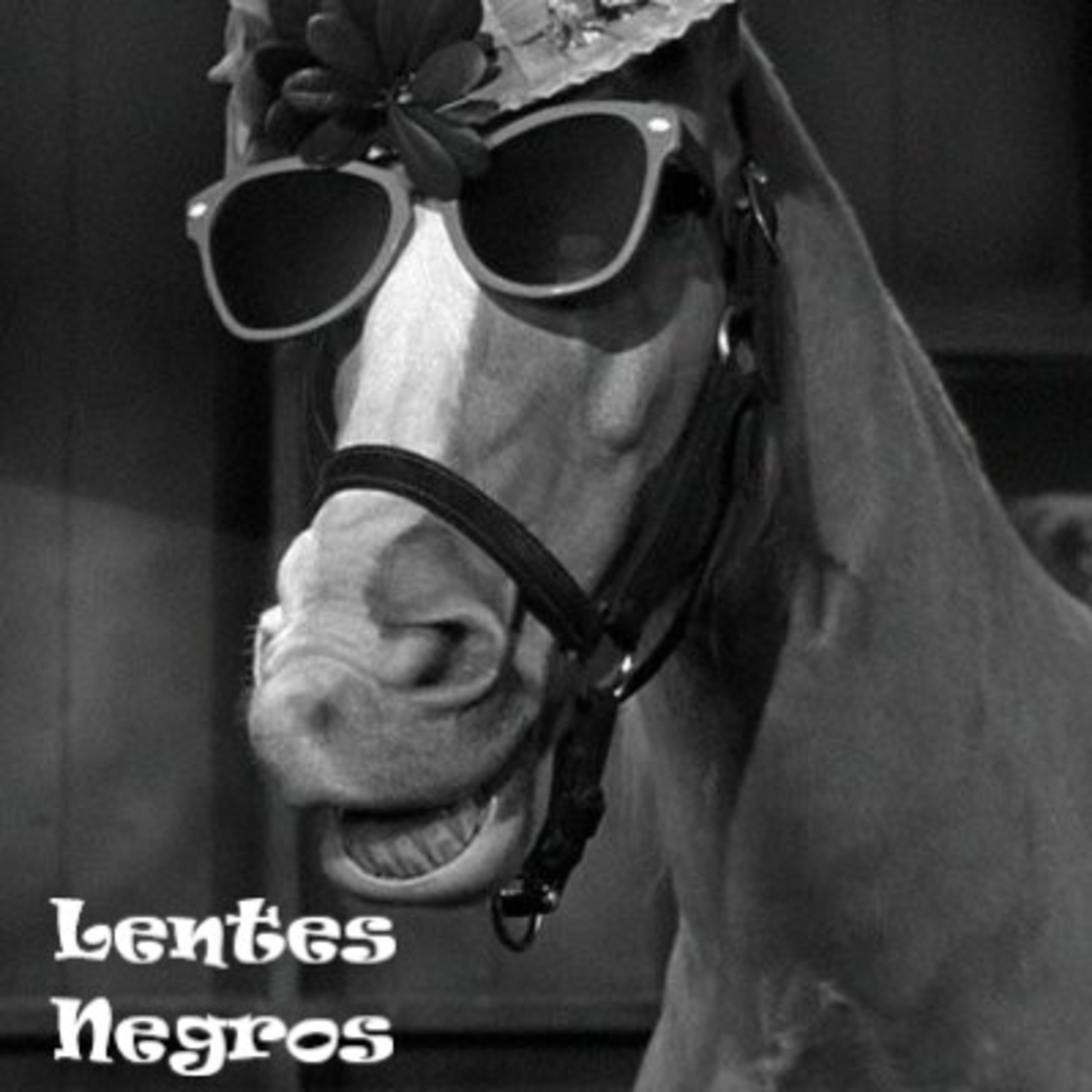 Lentes Negros Bits - El Retorno de MC Horse