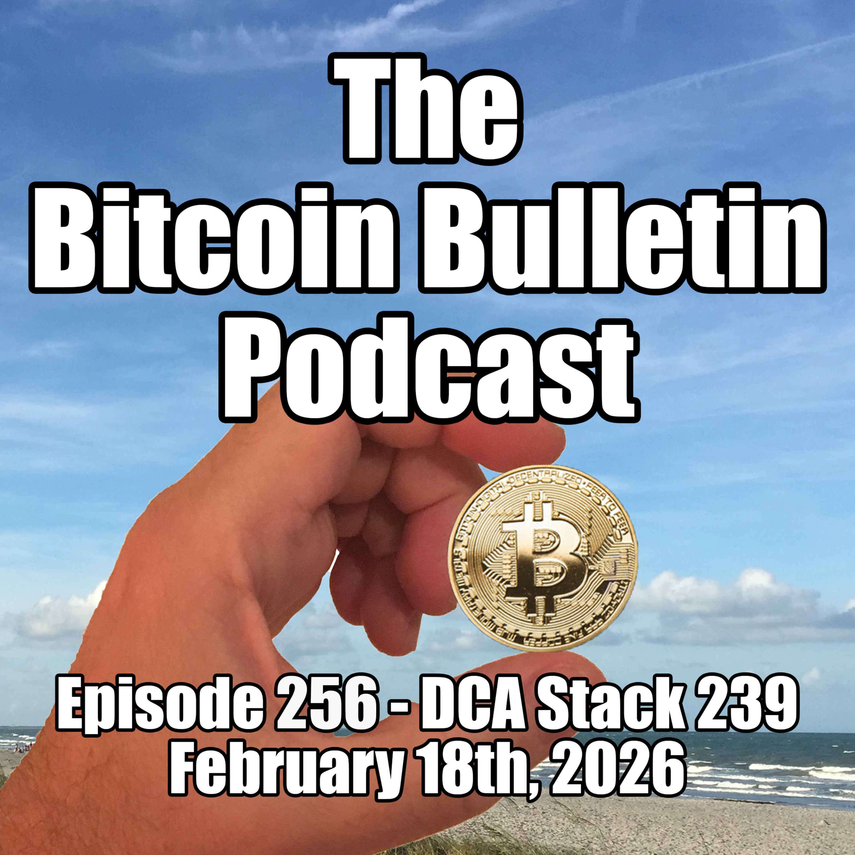 #256 Bear Markets Are For Accumulation DCA Stack 239