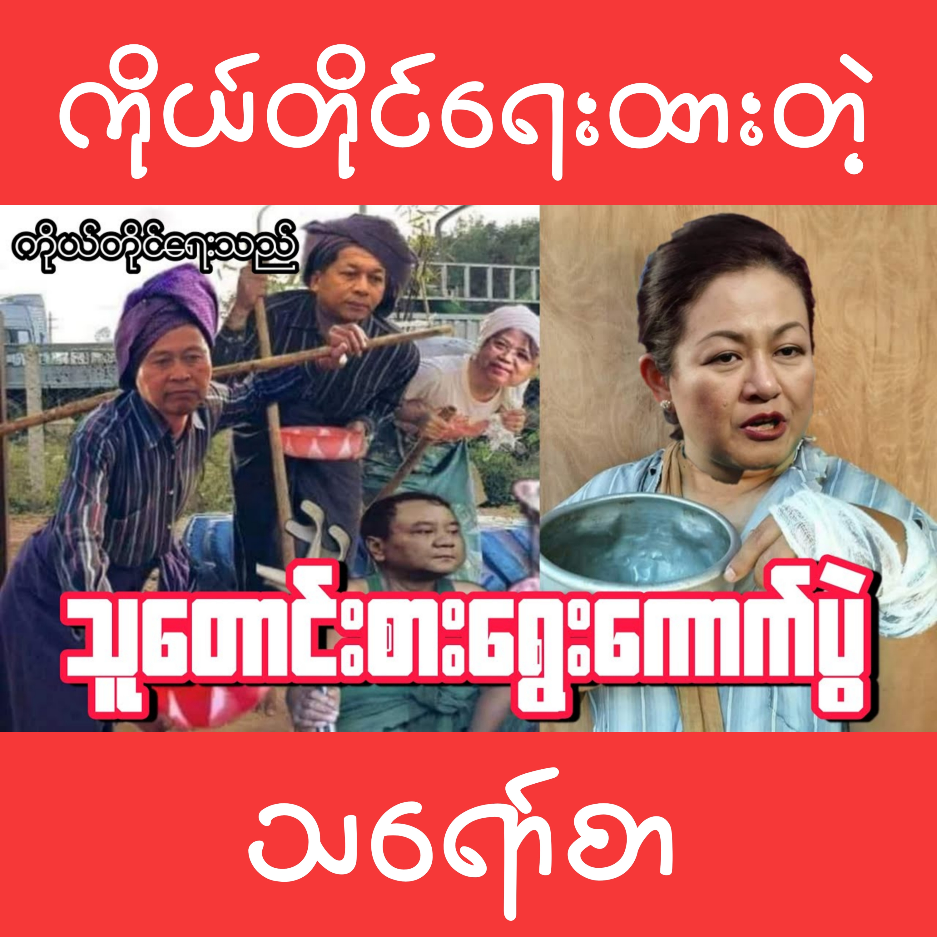 သူတောင်းစားရွေးကောက်ပွဲ (သရော်စာ)