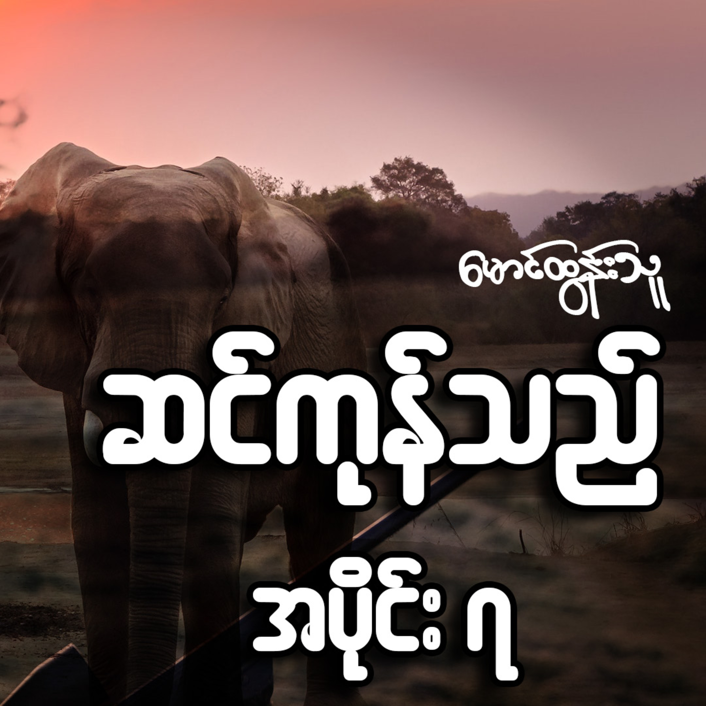 ဆင်ကုန်သည် - မောင်ထွန်းသူ (အပိုင်း ၇)