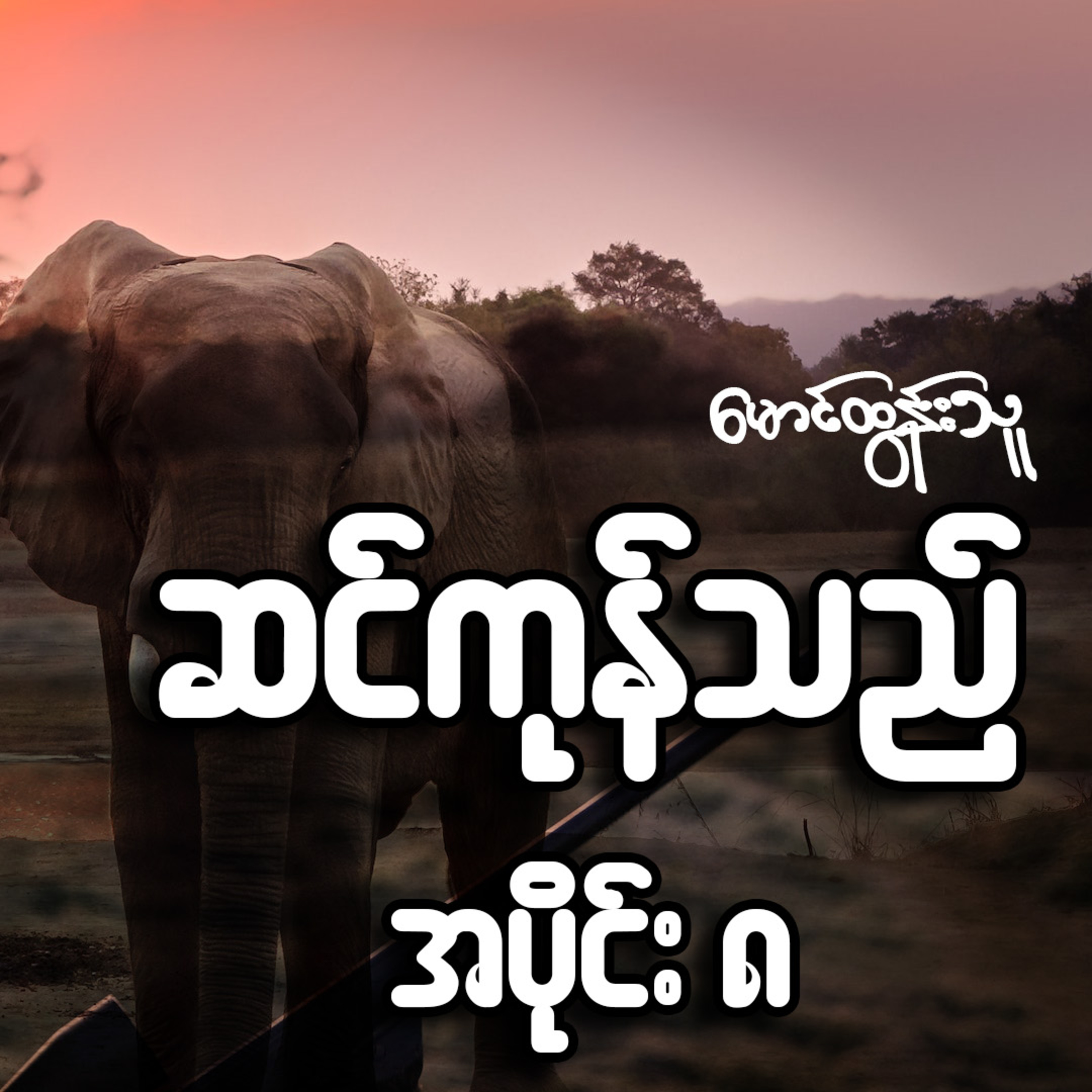 ဆင်ကုန်သည် - မောင်ထွန်းသူ (အပိုင်း ၈)