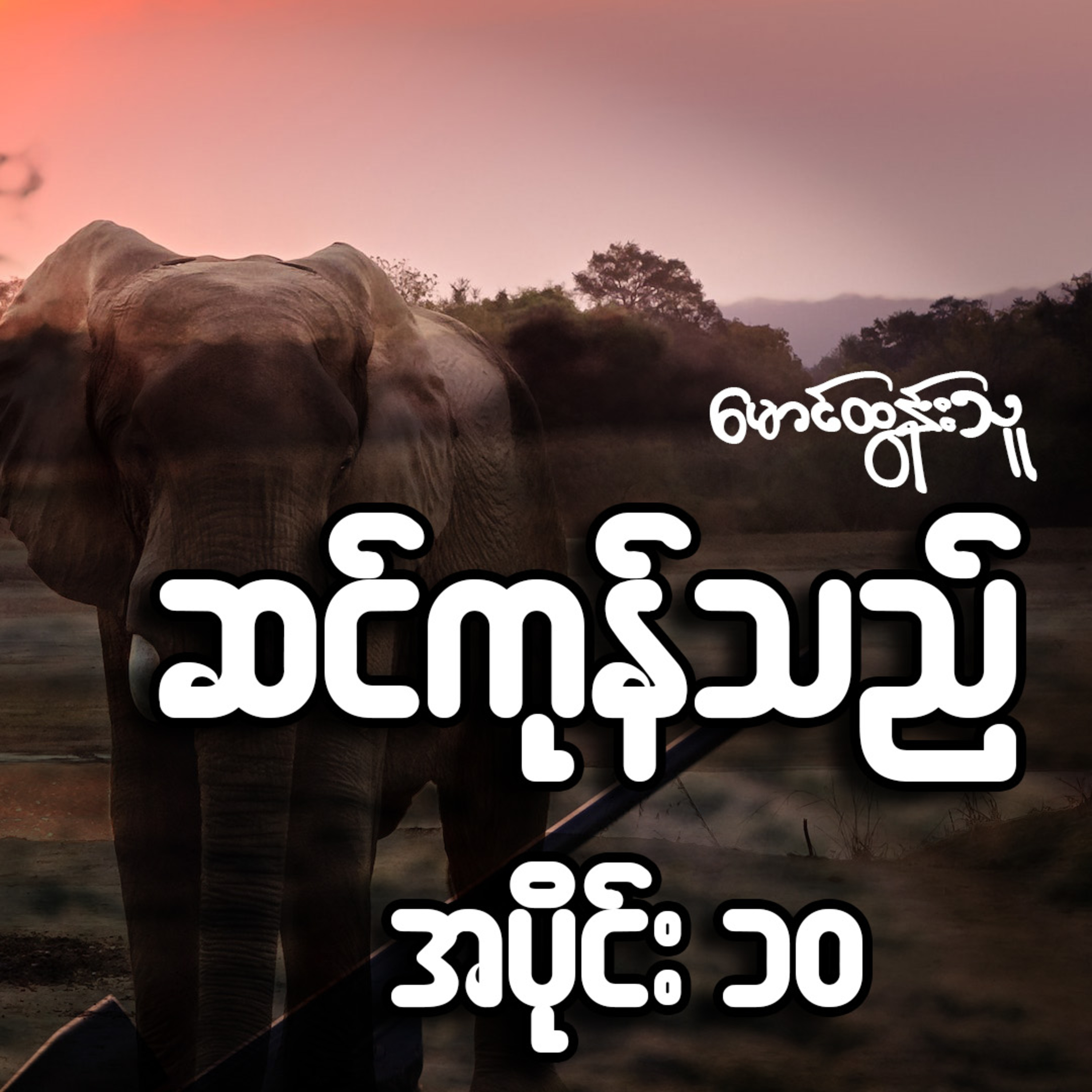 ဆင်ကုန်သည် - မောင်ထွန်းသူ (အပိုင်း ၁၀)