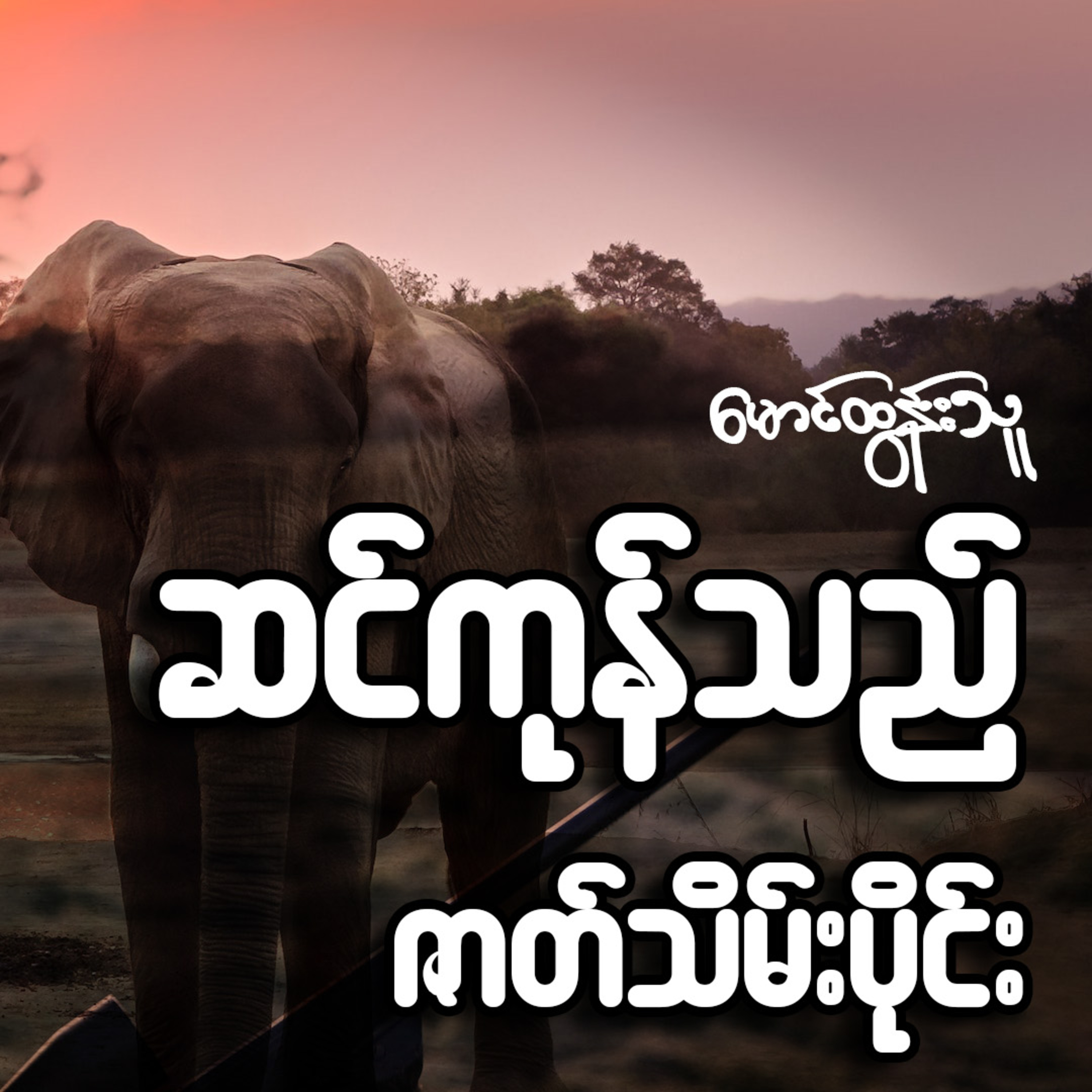 ဆင်ကုန်သည် - မောင်ထွန်းသူ (ဇာတ်သိမ်းပိုင်း)