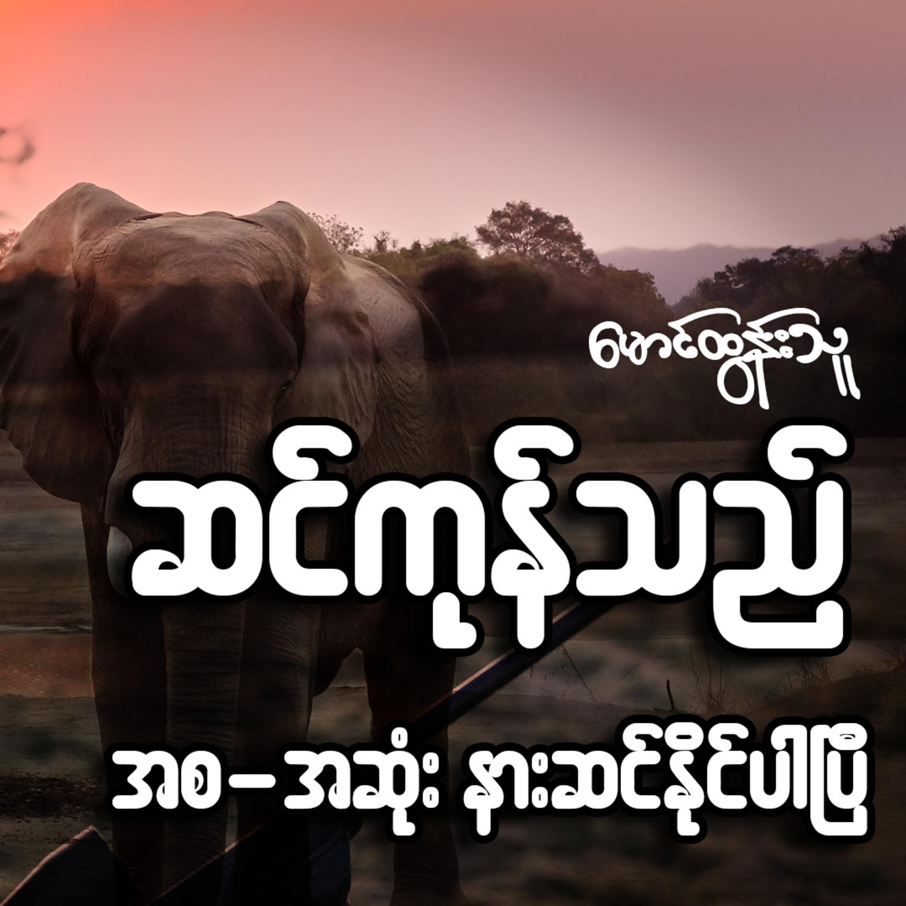 ဆင်ကုန်သည် - ဘာသာပြန် မောင်ထွန်းသူ (အစ-အဆုံး)