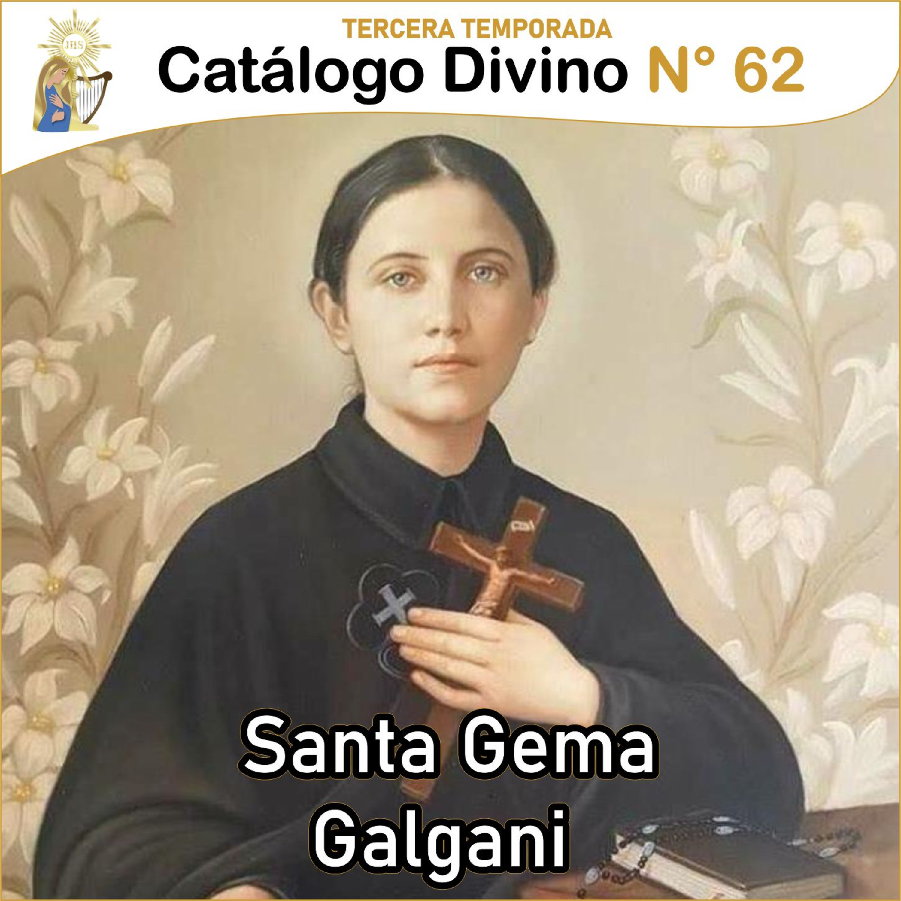 Catálogo divino - la vida de los santos 🙏🏼