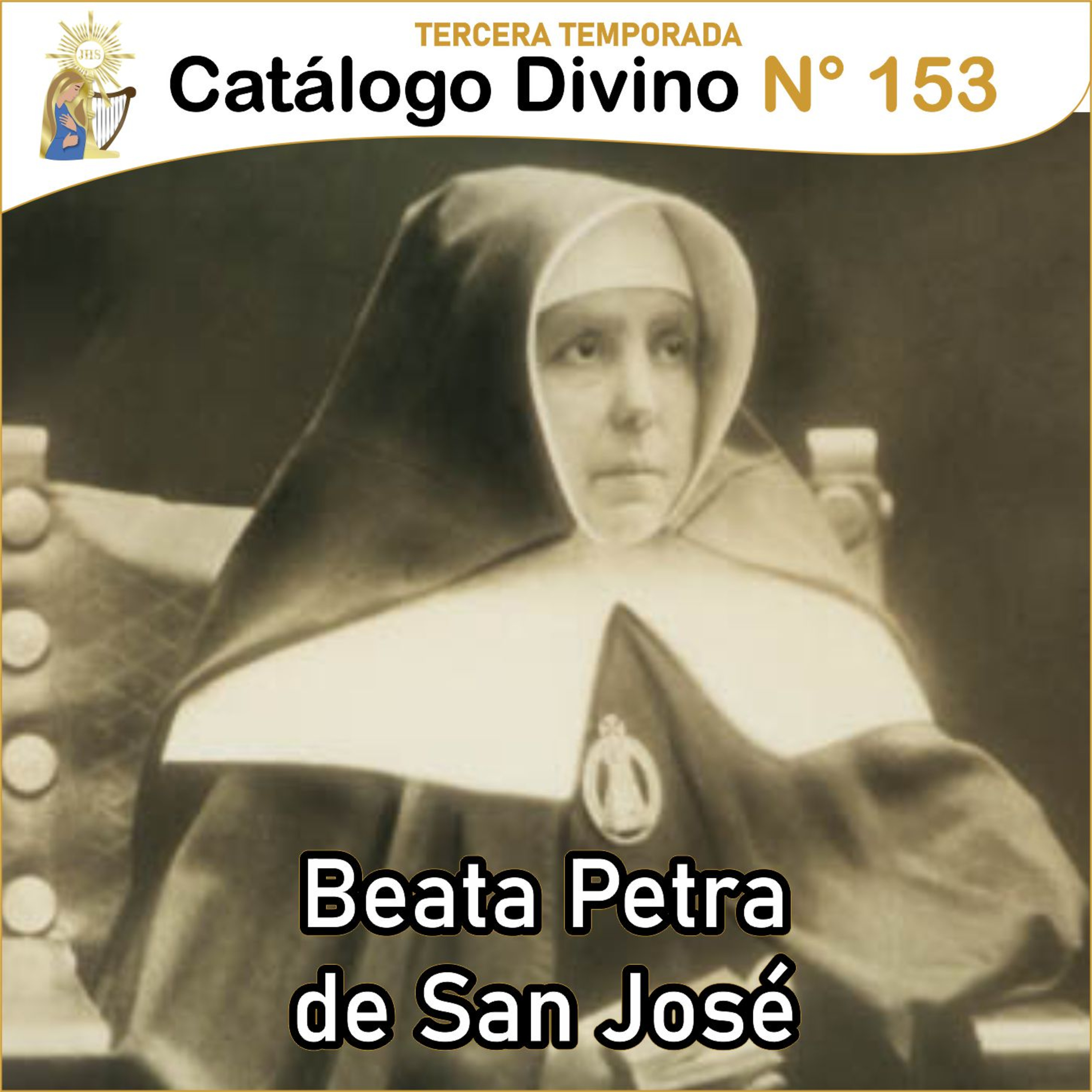 Catálogo divino - la vida de los santos 🙏🏼