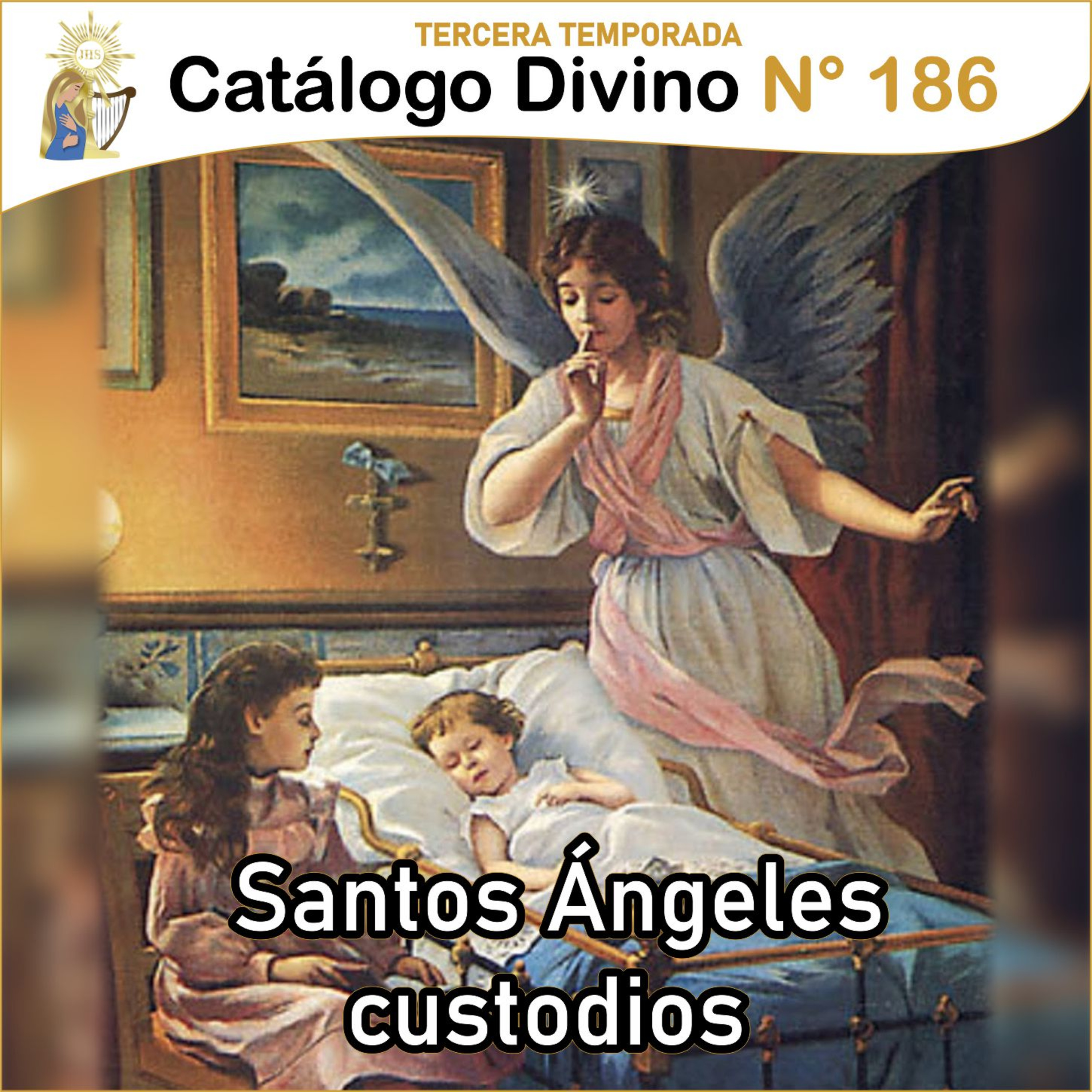 Catálogo divino - la vida de los santos 🙏🏼
