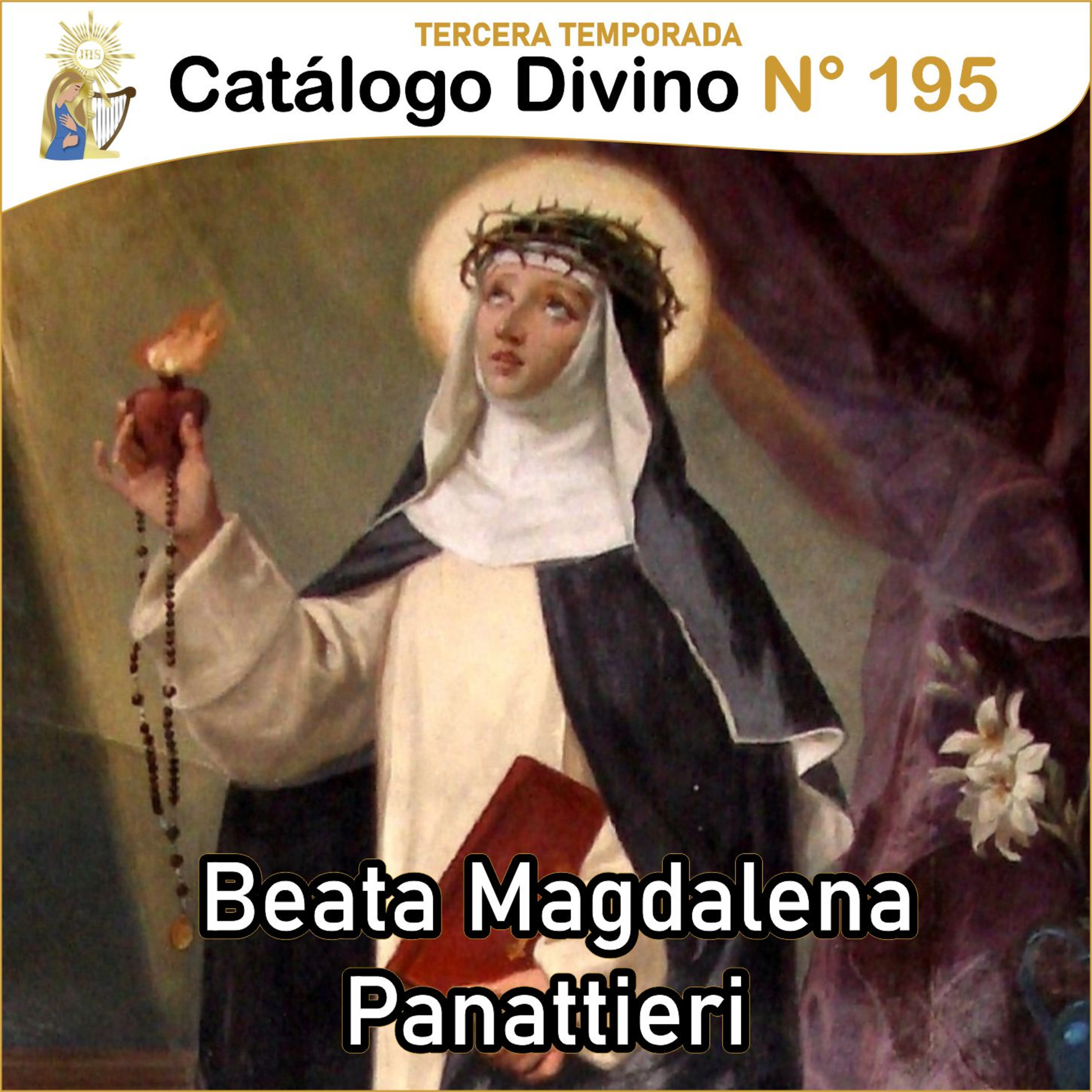 Catálogo divino - la vida de los santos 🙏🏼