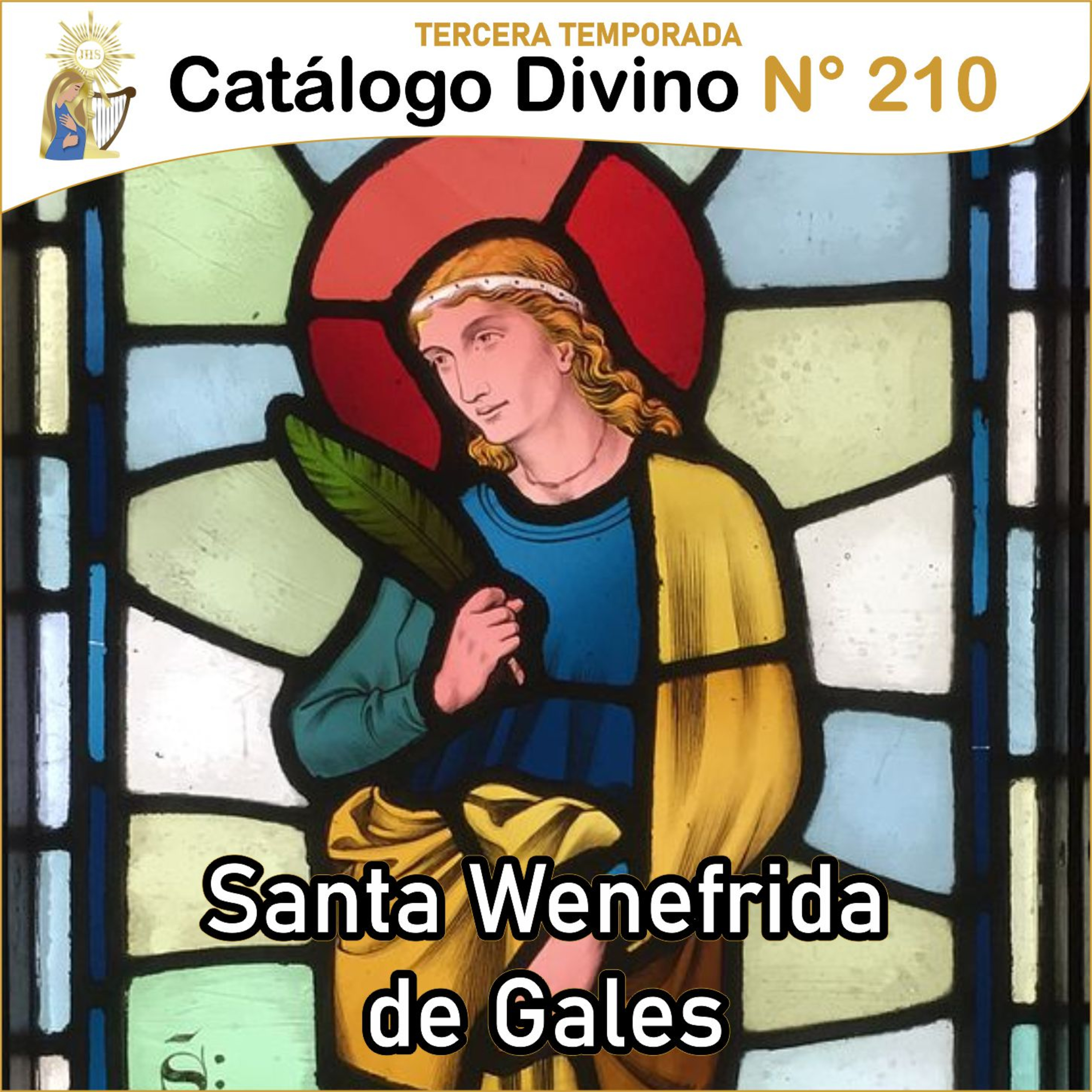 Catálogo divino - la vida de los santos 🙏🏼