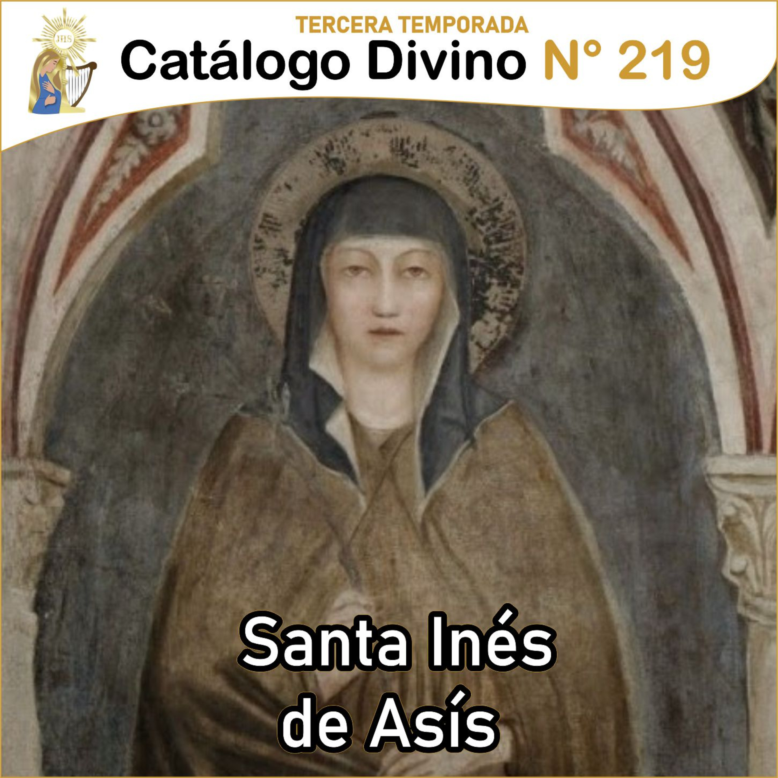 Catálogo divino - la vida de los santos 🙏🏼