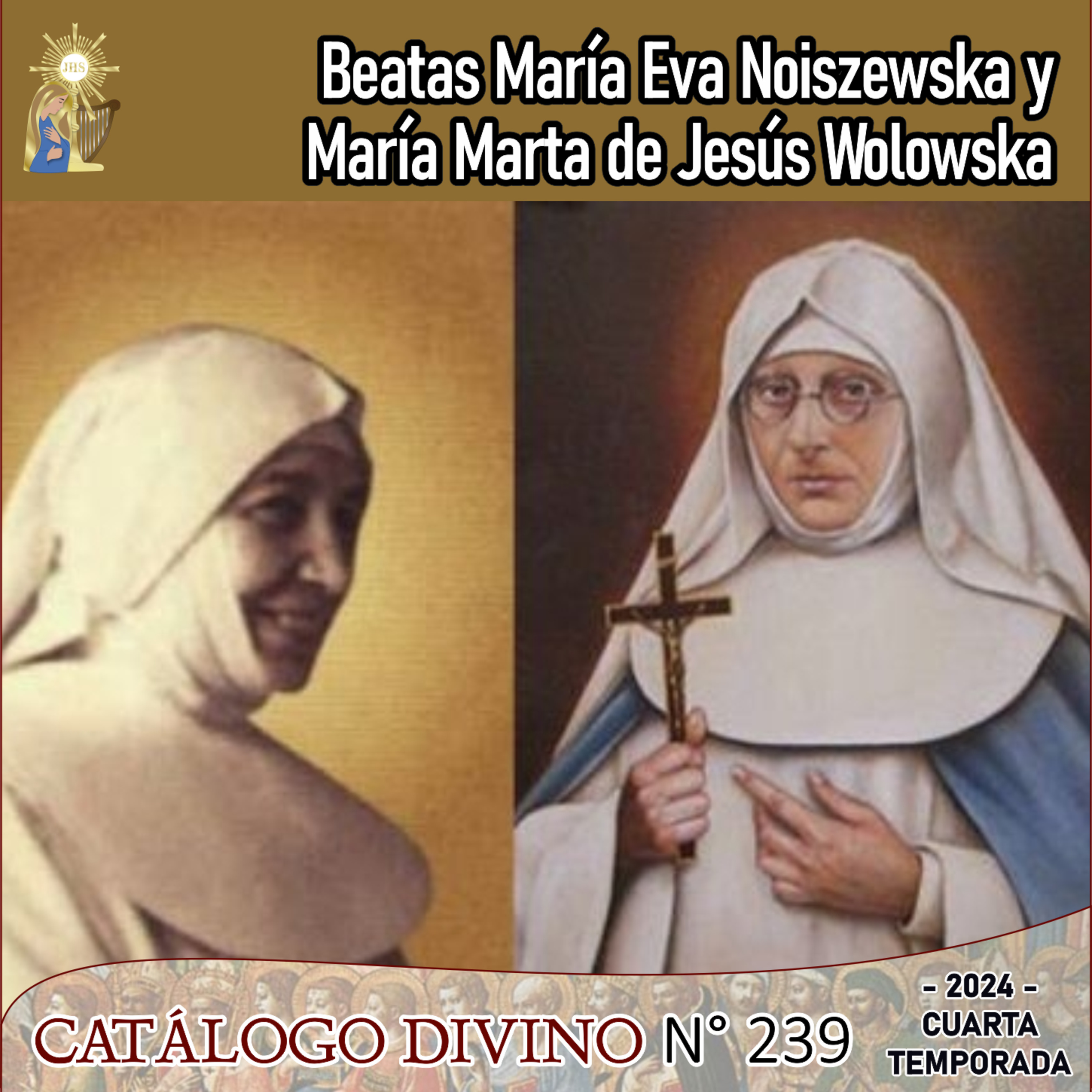 Catálogo divino - la vida de los santos 🙏🏼