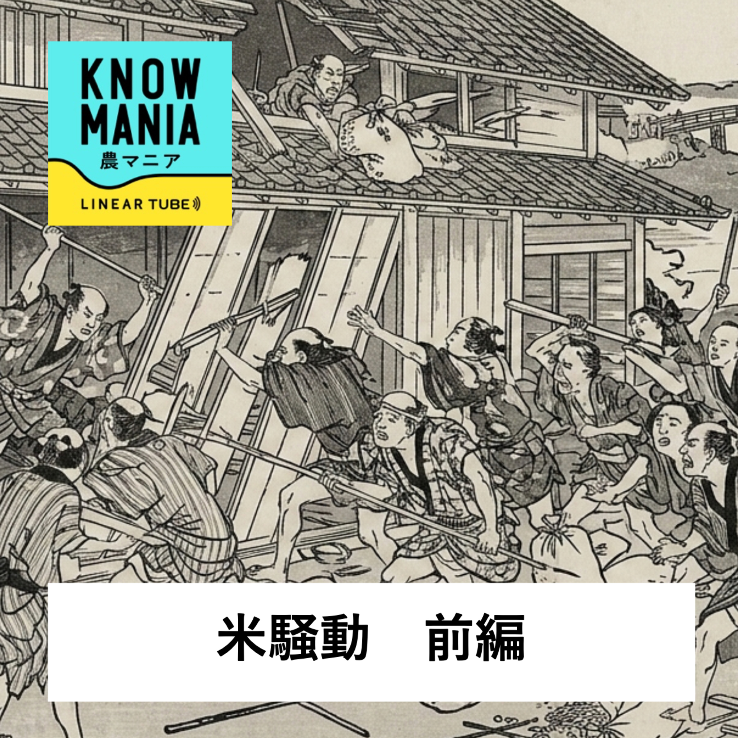 Ep222 米騒動 「江戸時代の米騒動〜天明の打ちこわし…高騰する米価格と困窮する庶民…なぜ幕府は積極的な対策が取れなかったのか？」 episode artwork