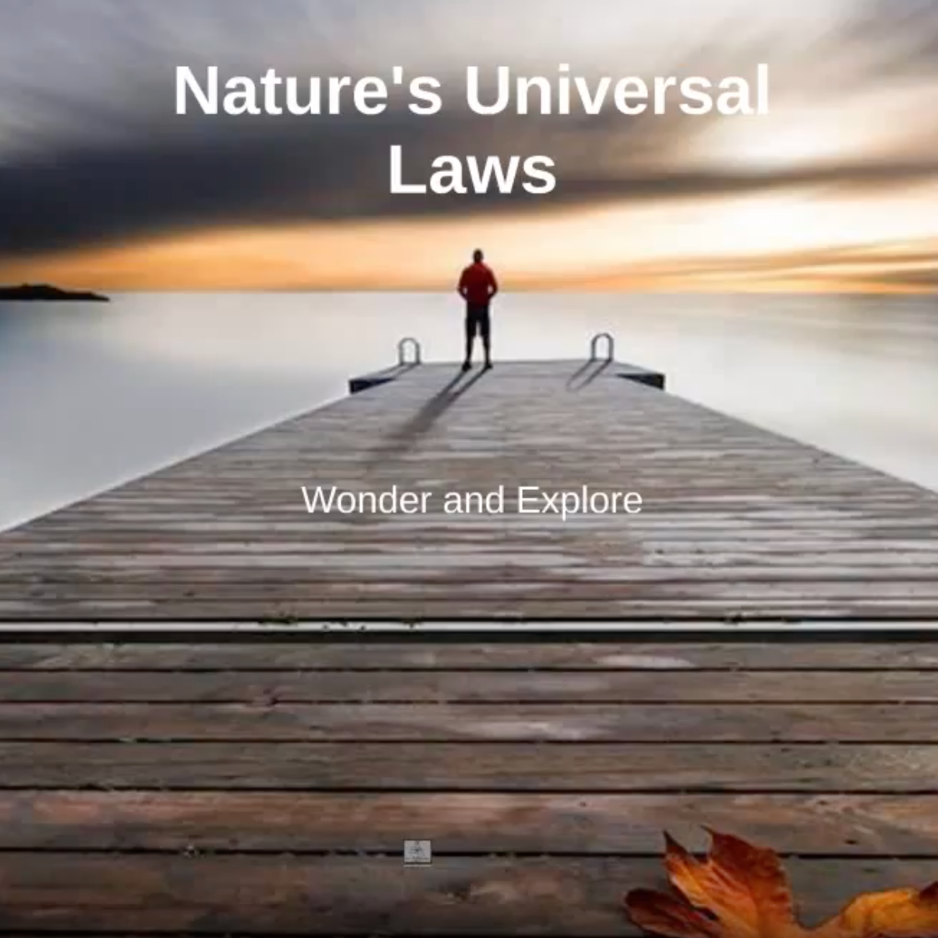 Archive: A short explanation of how to apply nature's universal laws in business and relationships episode artwork