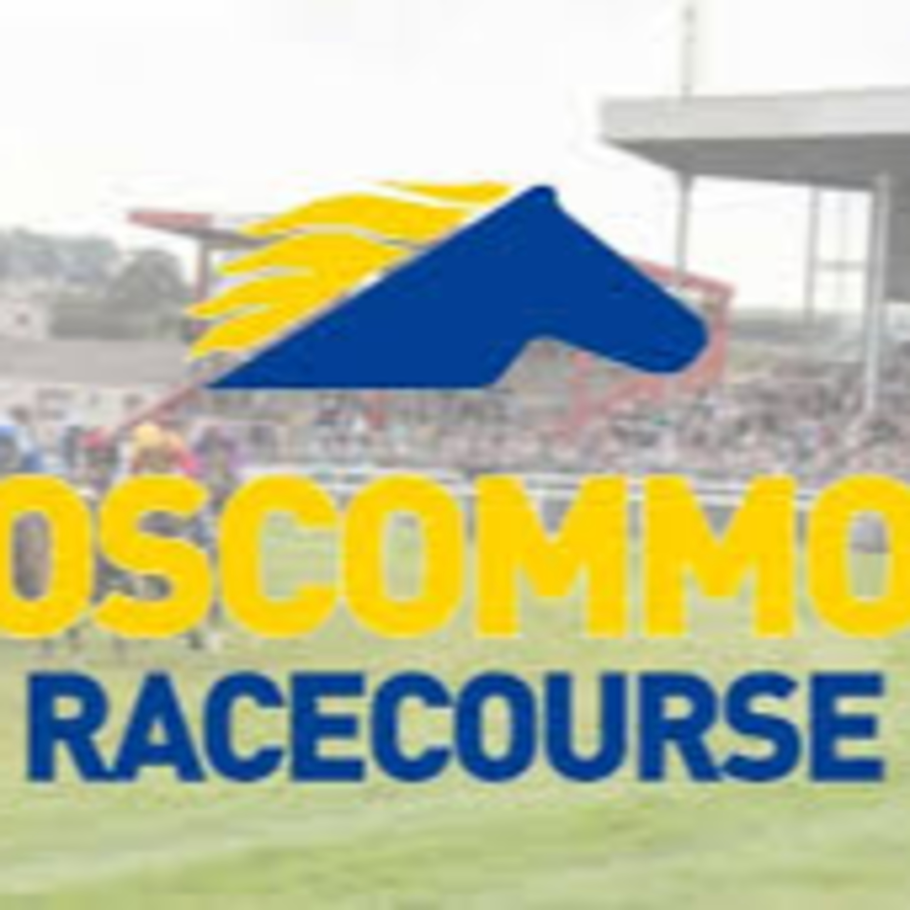 Roscommon Races Interviews - Ciara Lawless 30/07/24 episode artwork