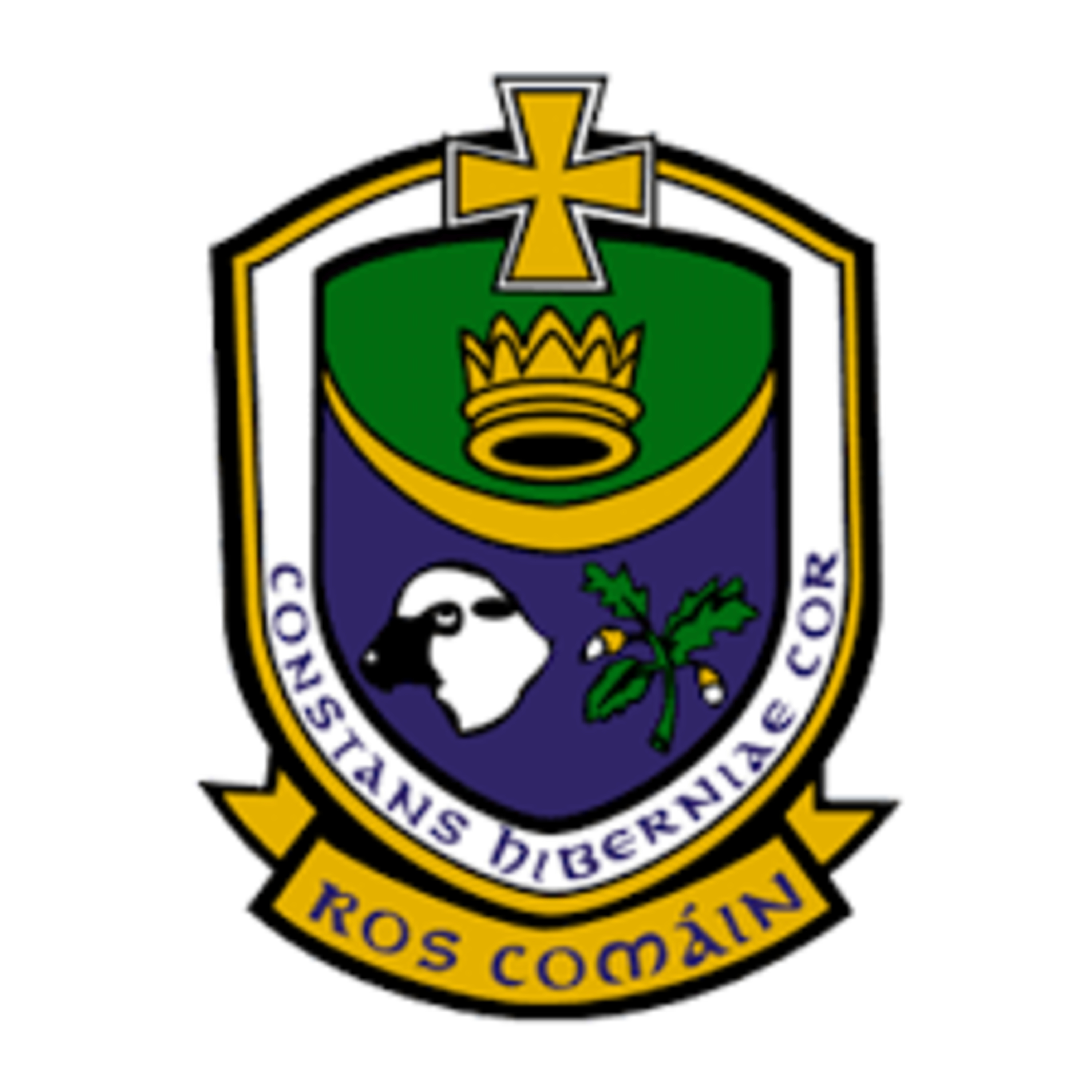  NEW ERA BECKONS FOR GAELIC FOOTBALL AS NEW SEASON STARTS THIS WEEKEND episode artwork