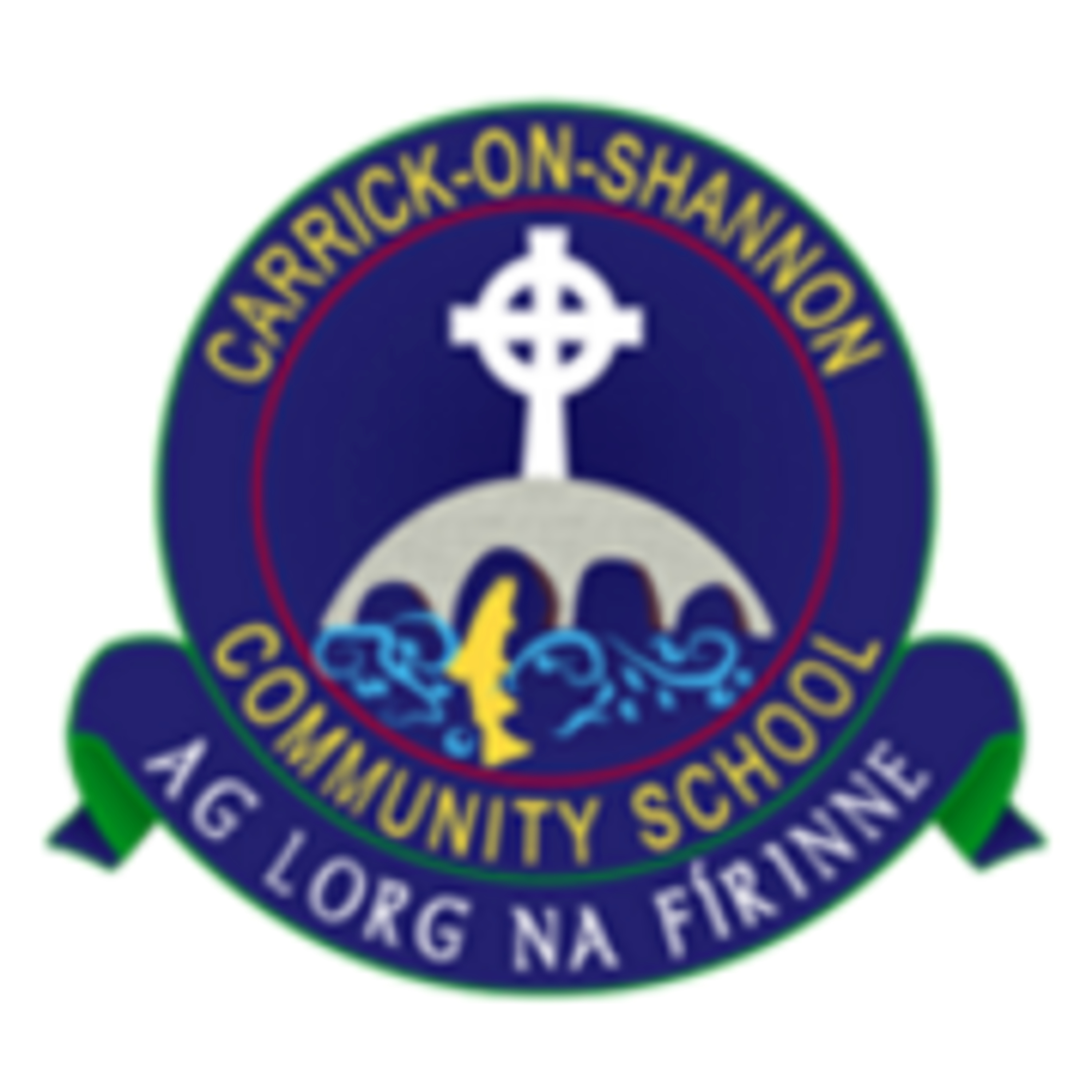 Carrick on Shannon Community School - Joe Bambrick episode artwork