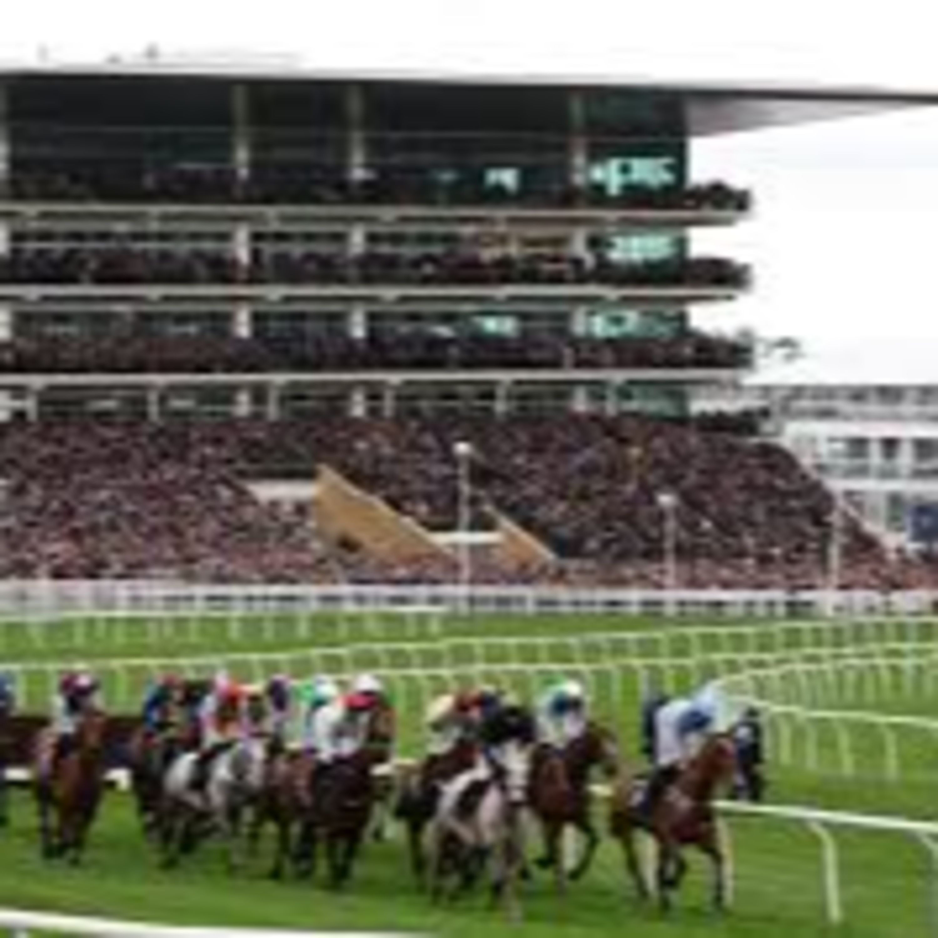 CHELTENHAM RACING FESTIVAL LESS THAN A WEEK AWAY. episode artwork