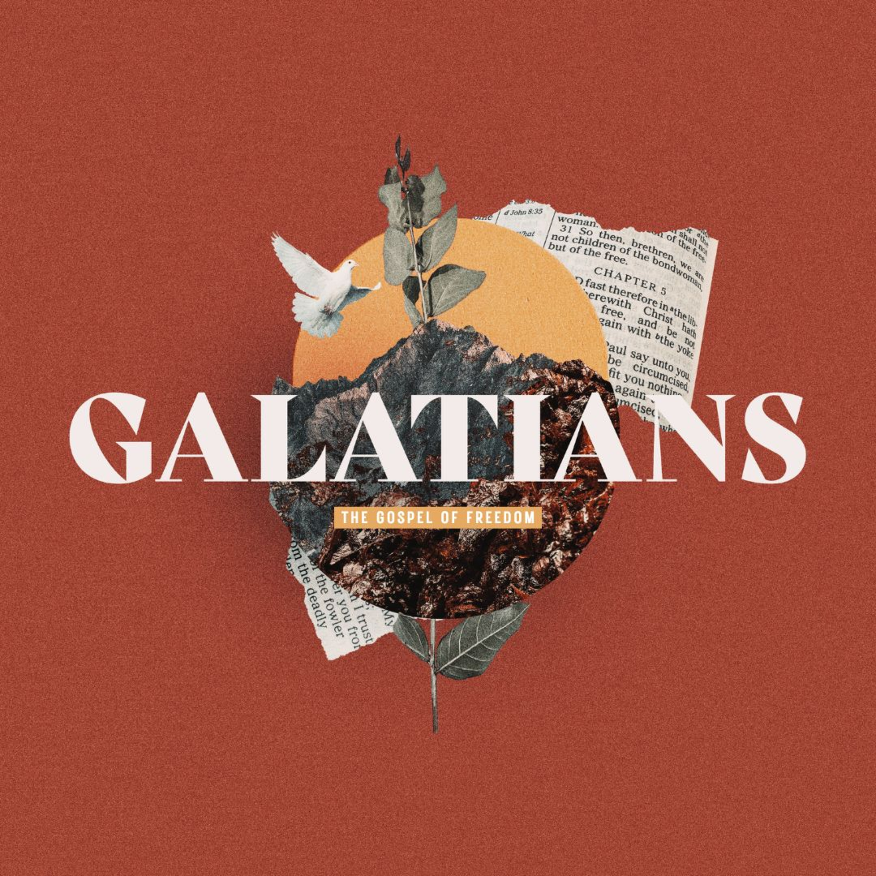 Galatians: The Gospel of Freedom | Week 12 episode artwork