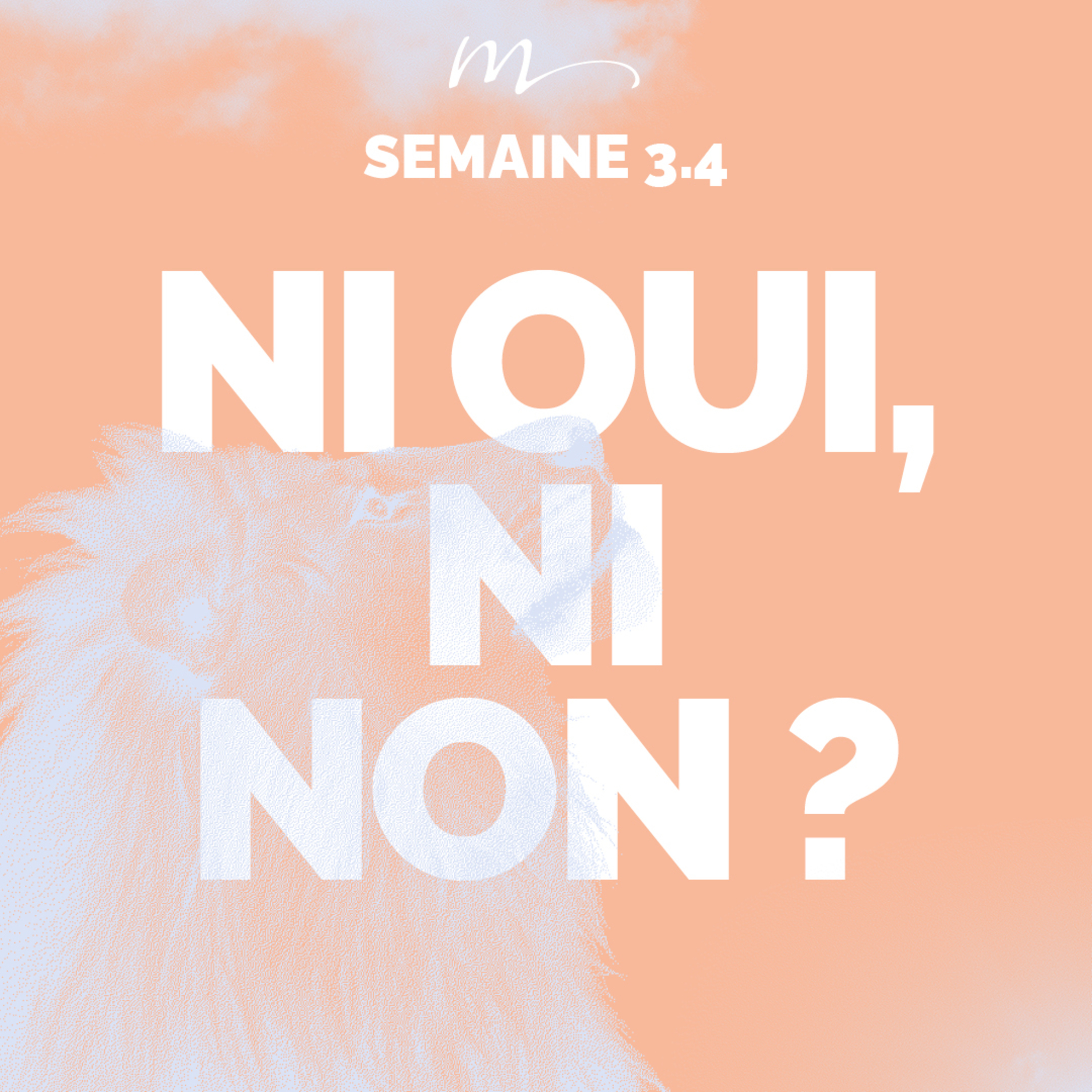 Ni oui, ni non ? - Écoute ! Méditation 16 - Matthieu 5.33-37 - Jéma Taboyan - Eglise M episode artwork