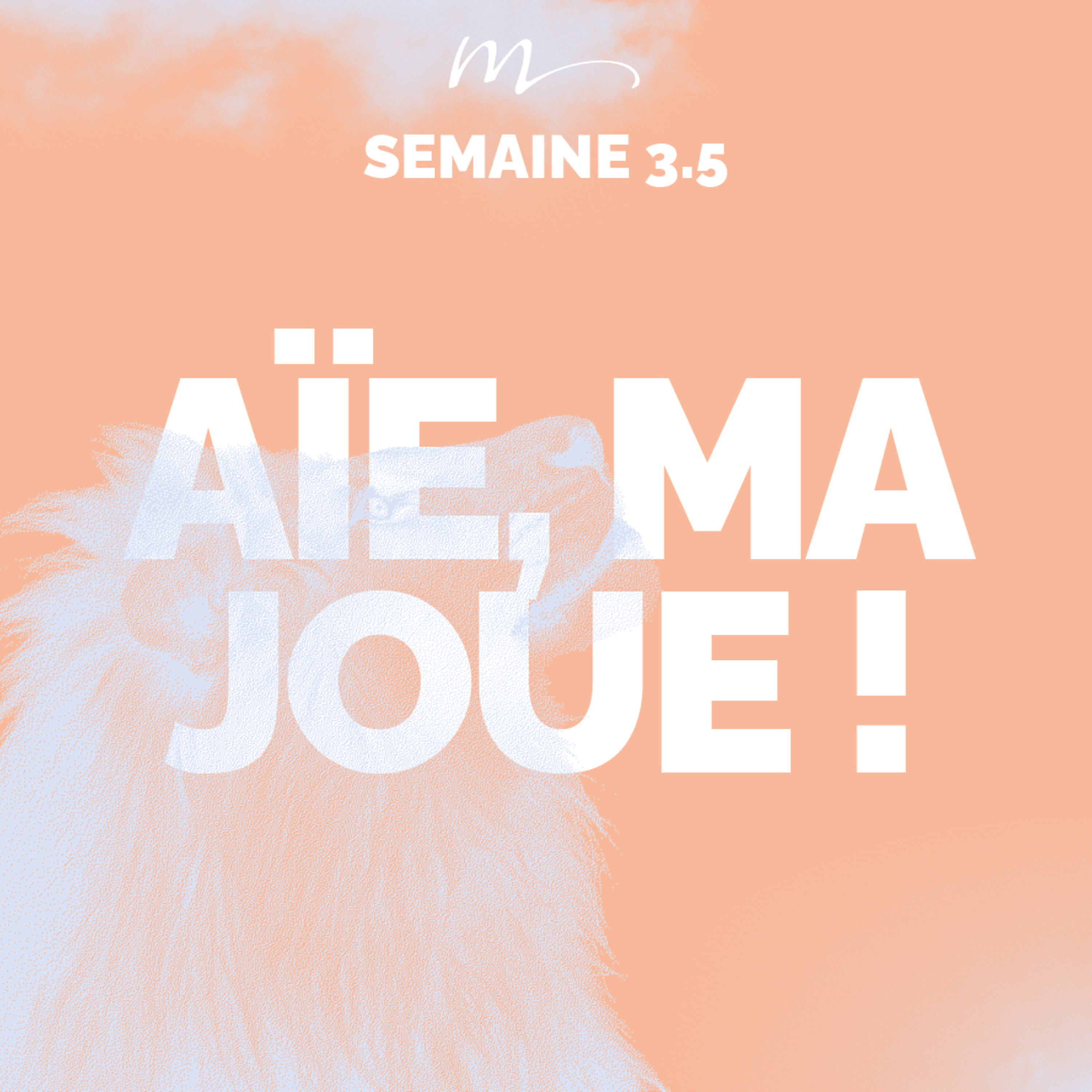 Aïe, ma joue ! - Écoute ! Méditation 17 - Matthieu 5.38-42 - Jéma Taboyan - Eglise M episode artwork
