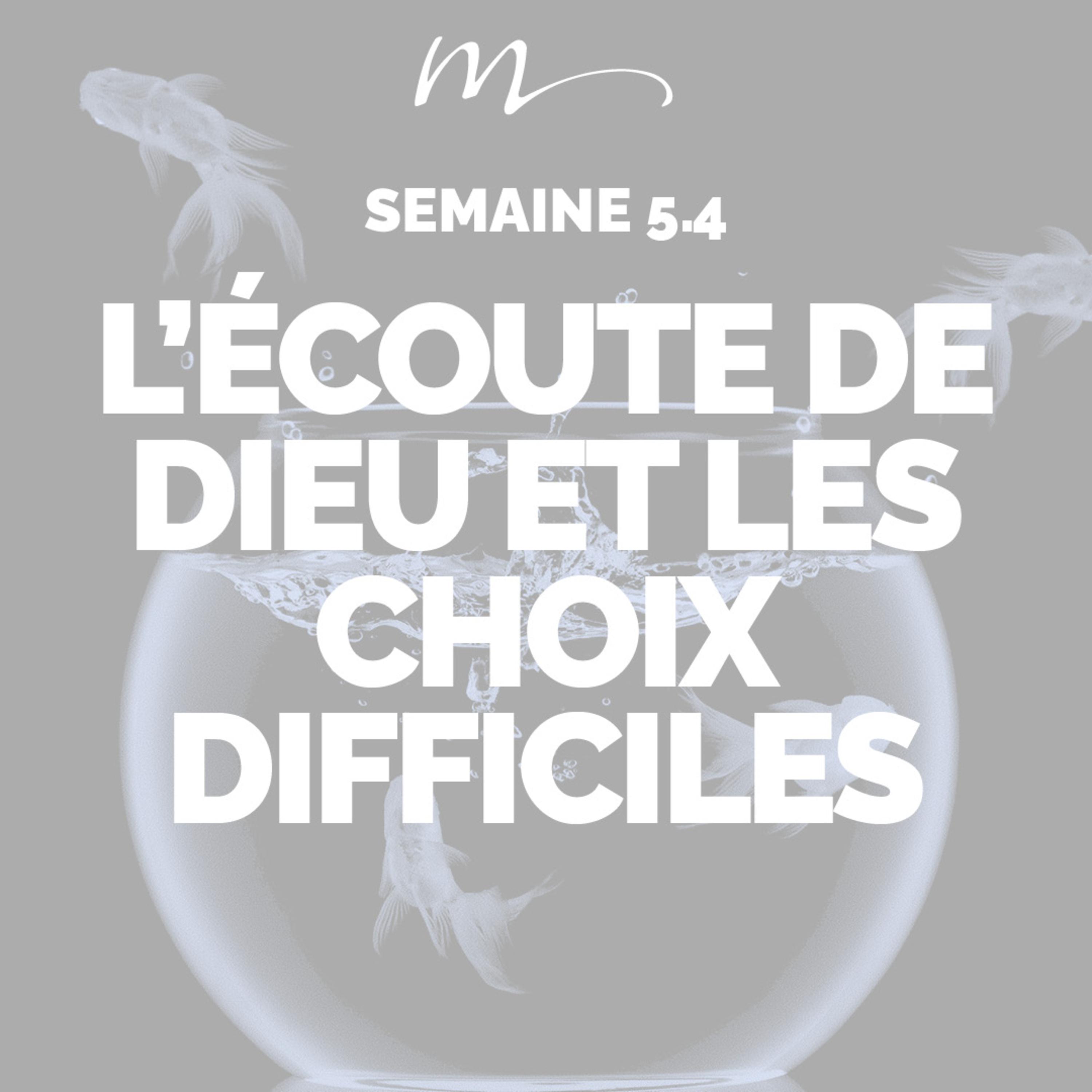 L’écoute de Dieu et les choix difficiles - Écoute ! Méditation 28 - Deutéronome 30.19 - Jéma Taboyan - Eglise M episode artwork