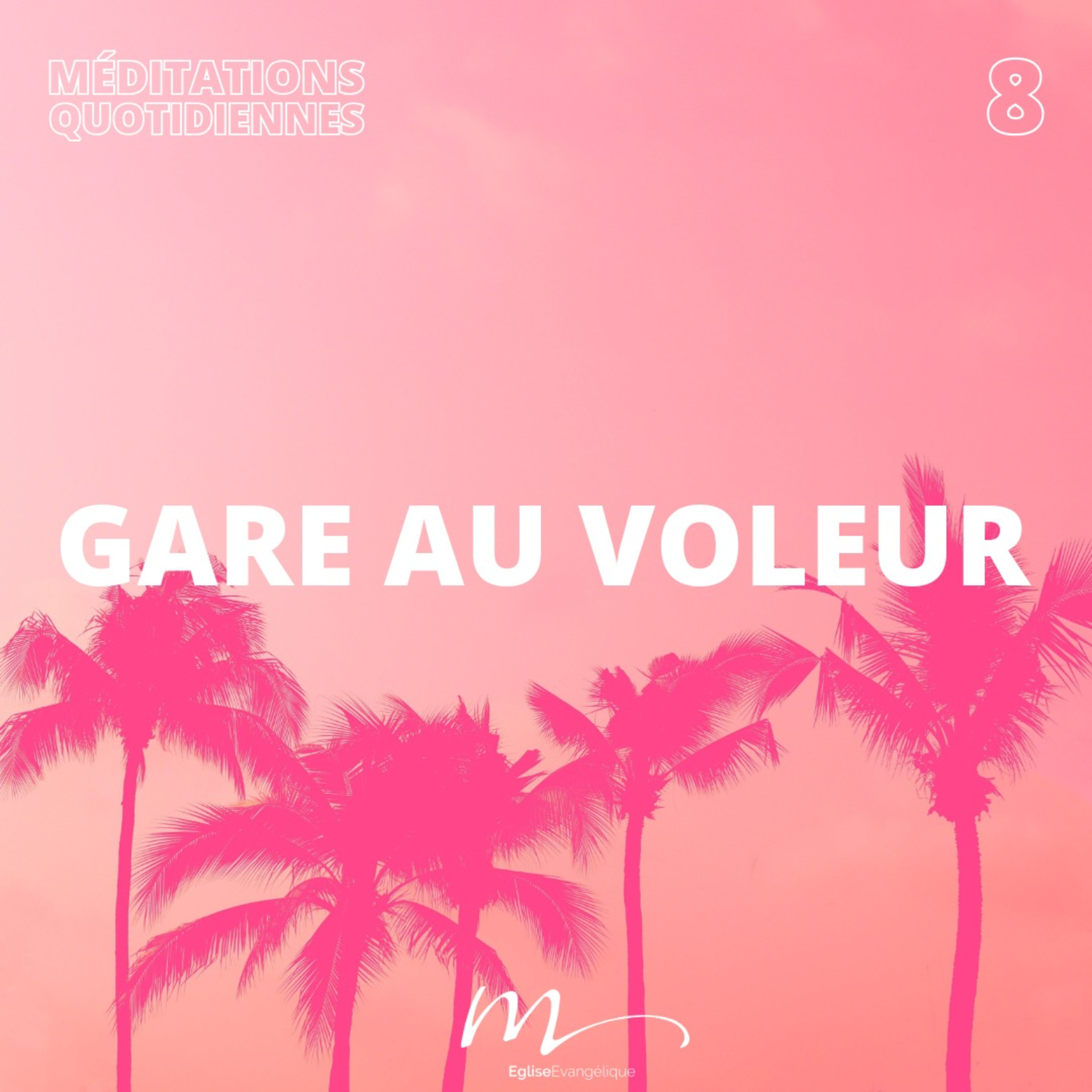 Gare au voleur - C'est l'été Méditation 8 - Matthieu 13.4 & Matthieu 13.19 - Jéma Taboyan - Eglise M episode artwork