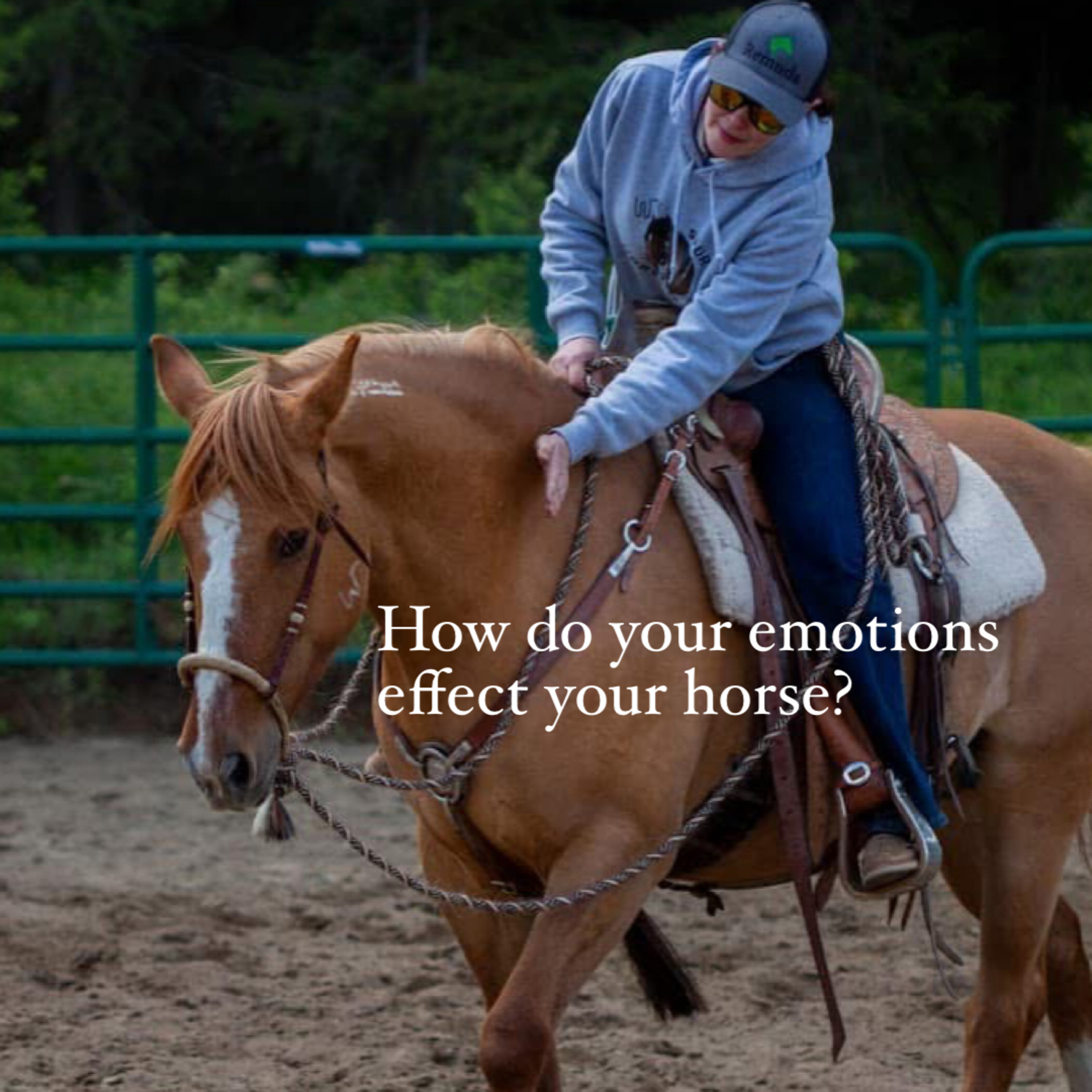 How do your emotions affect your horse?  episode artwork
