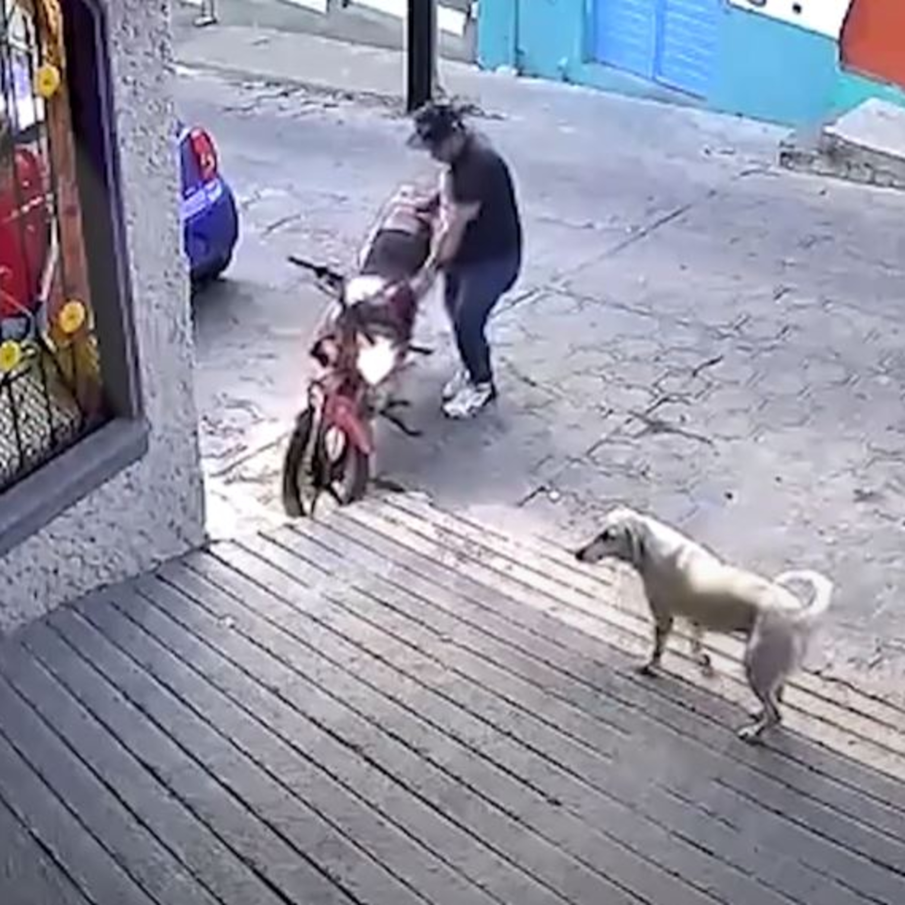 ¡Bárbaro! Le dio tremenda patada a un perro episode artwork