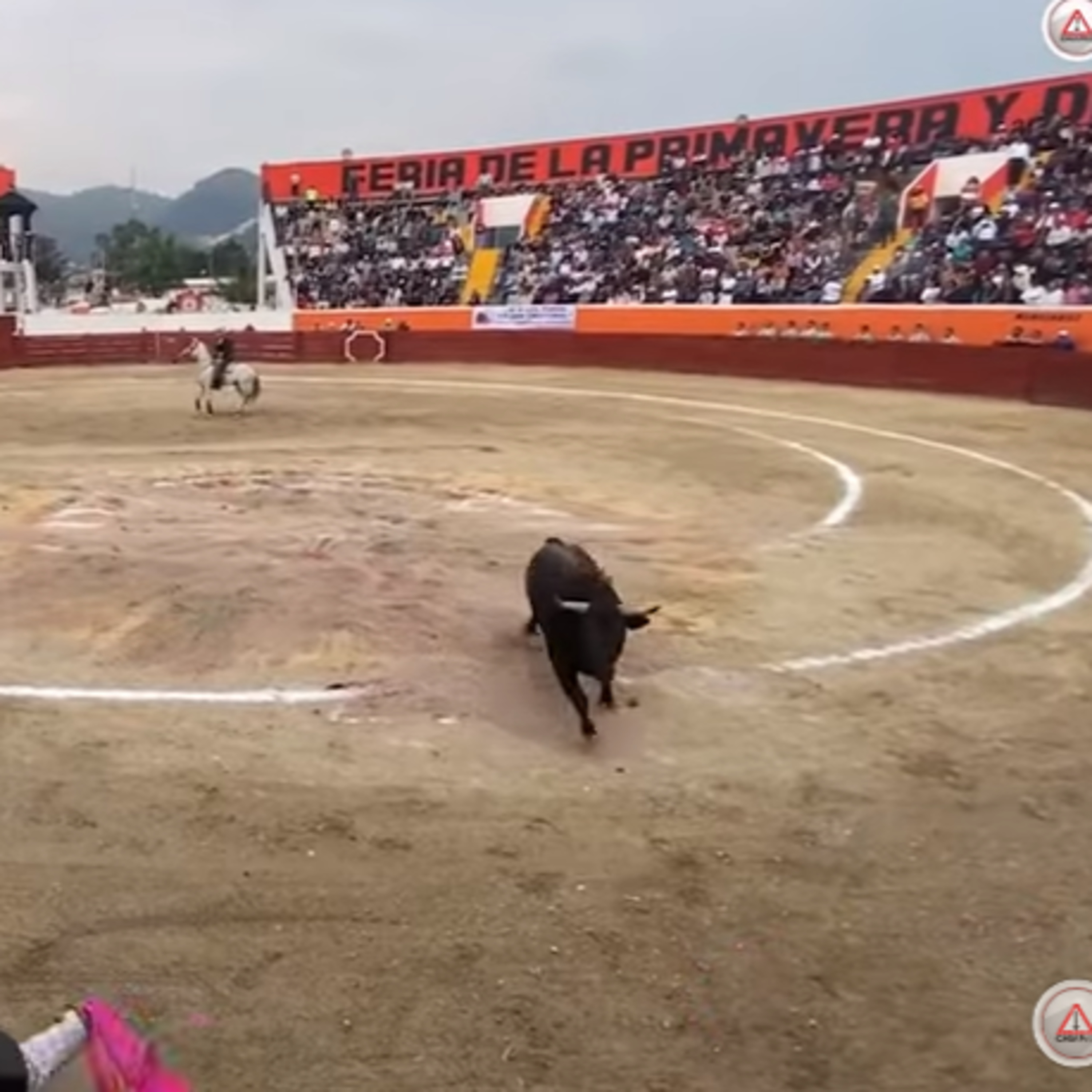 En la mira de pro animalistas corrida de toros en San Cristóbal episode artwork