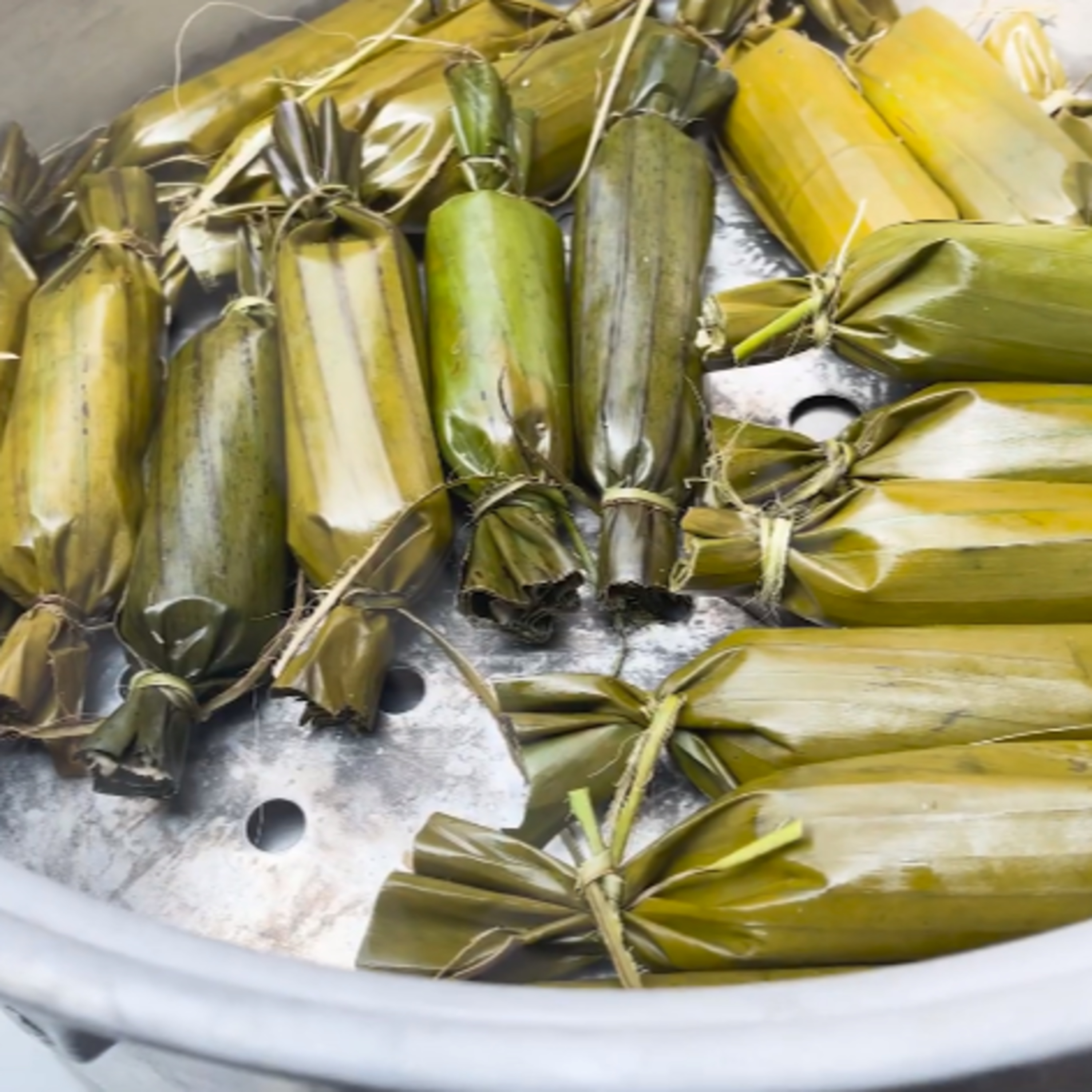 En Chiapas hay más de 350 recetas de tamales episode artwork
