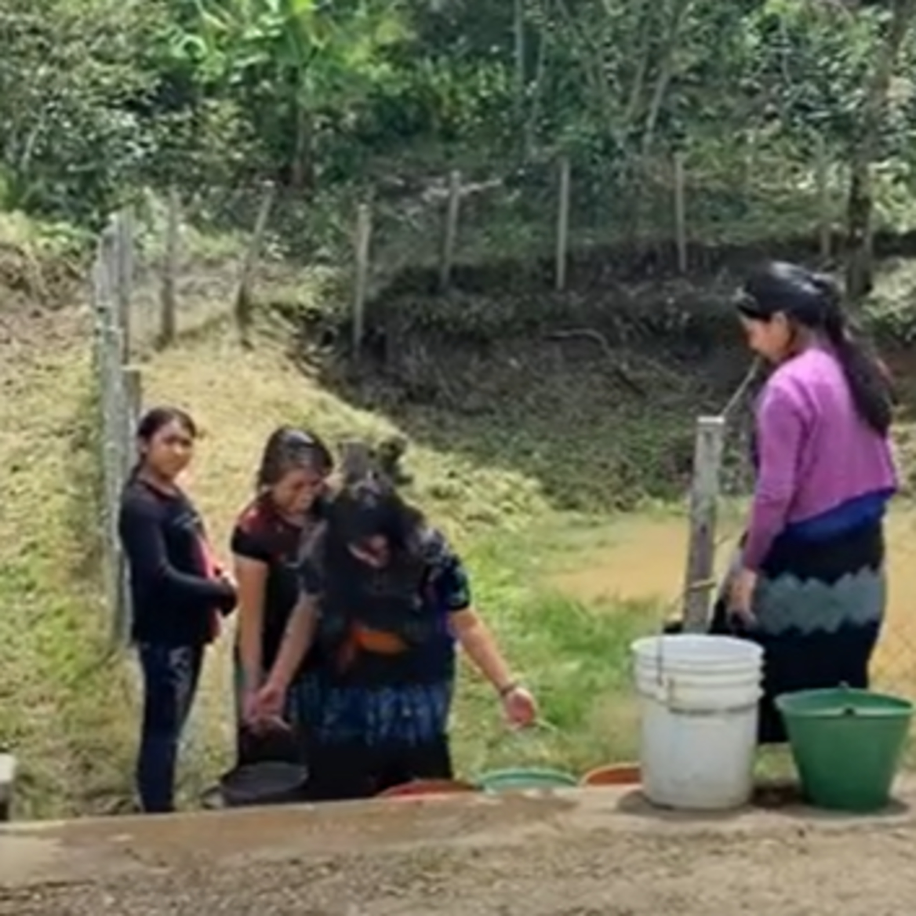 Indígenas hallaban la muerte en Chiapas ante la falta de intérpretes en su idioma episode artwork