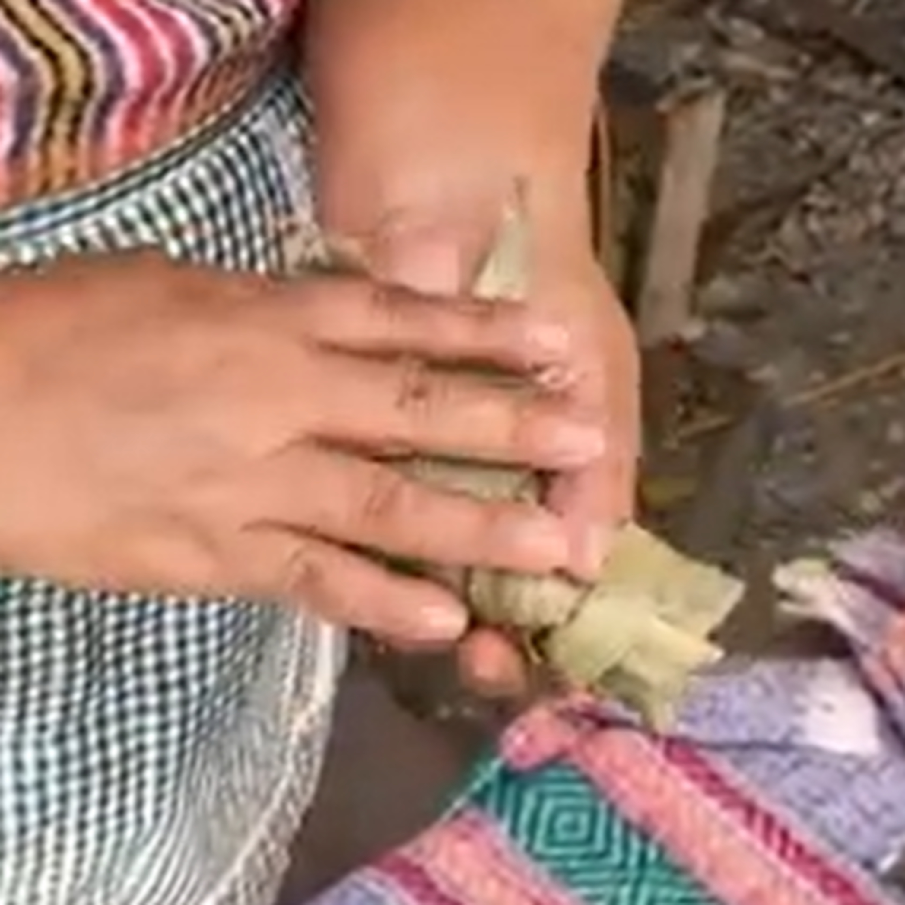 Delicia gastronómica de Tuxtla: tamal de cuchunuc episode artwork